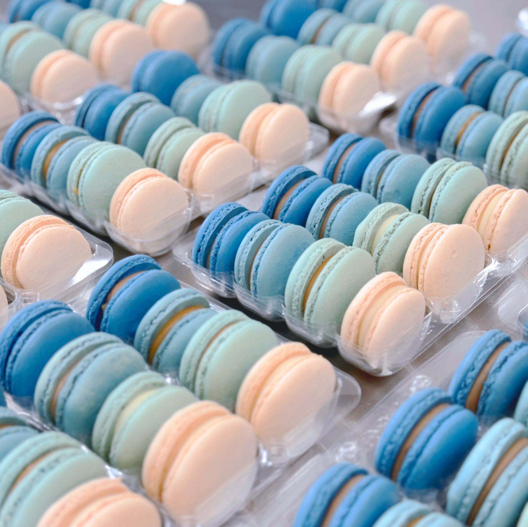 Choose Colors + Ombre Style Macarons