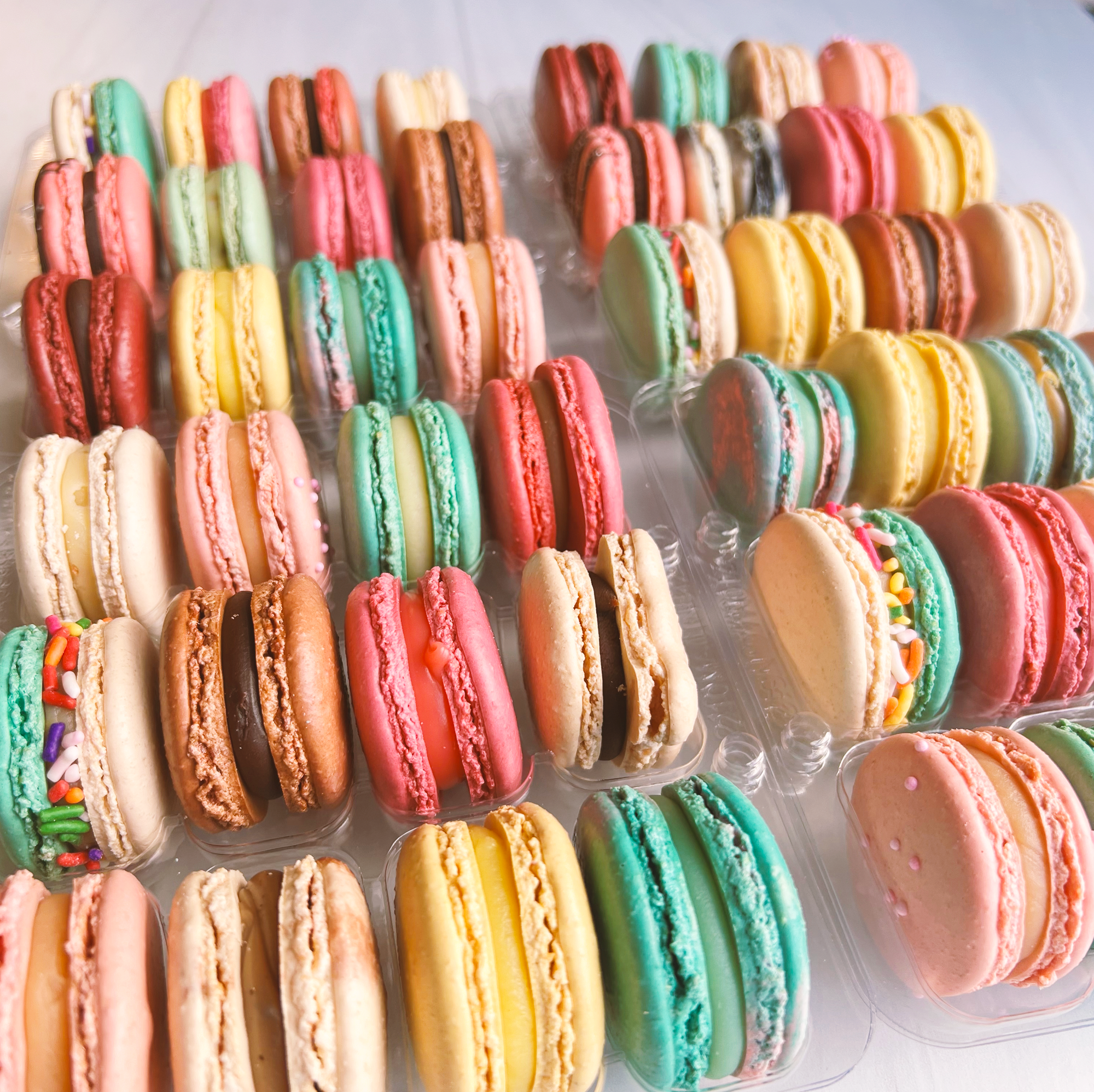 Cheesecake Macaron Set | online 48 Pack Assorted Macarons