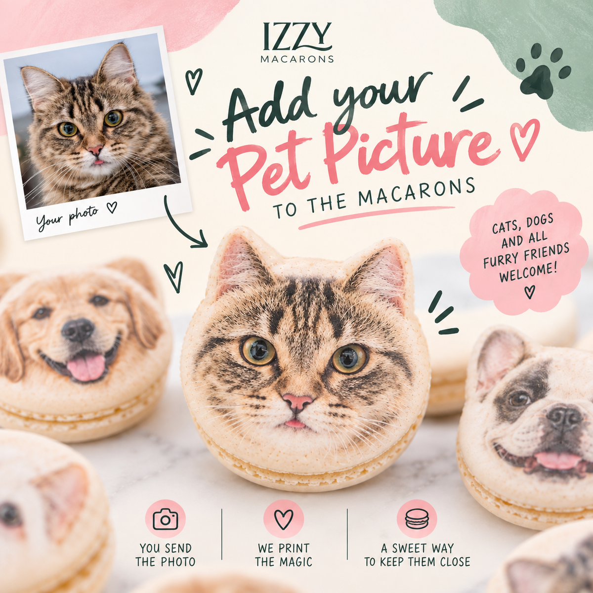 Cat/Dog/ Pet Picture Macarons
