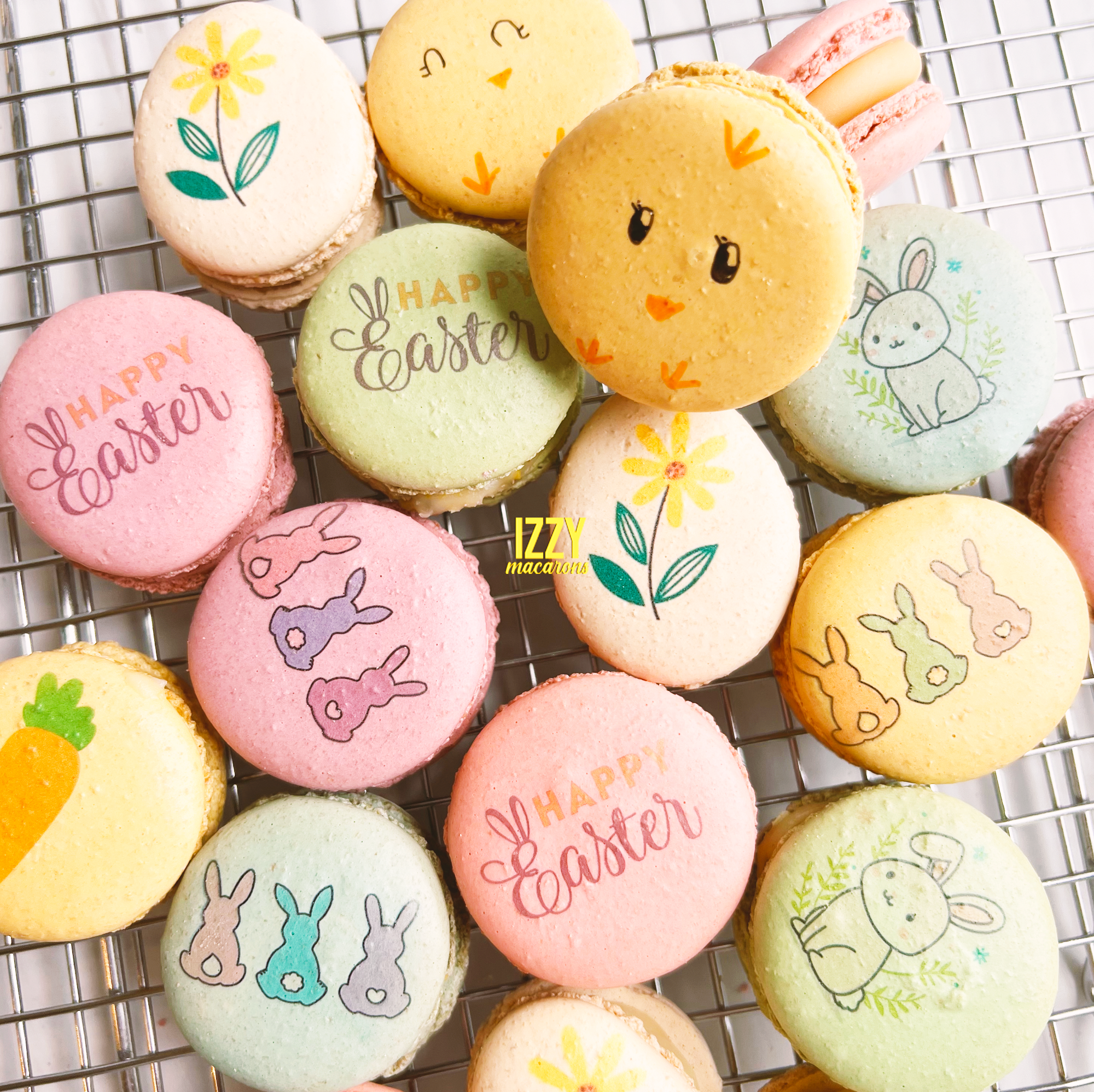 Easter Macarons - Assorted Prints/Colors