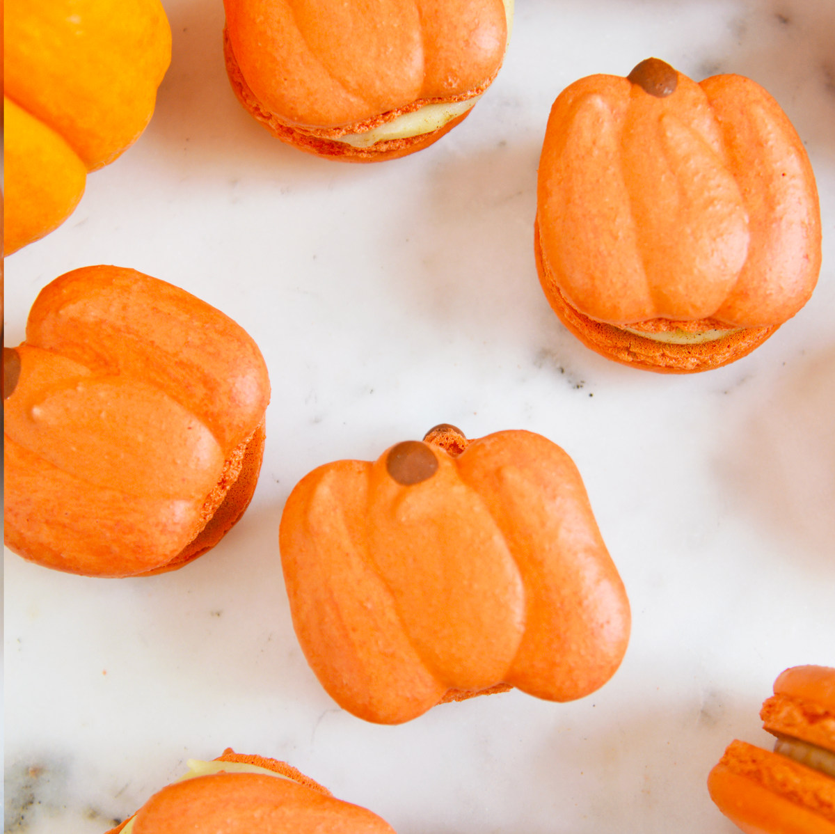 Pumpkin Macarons - Pumpkin Spice Cheesecake