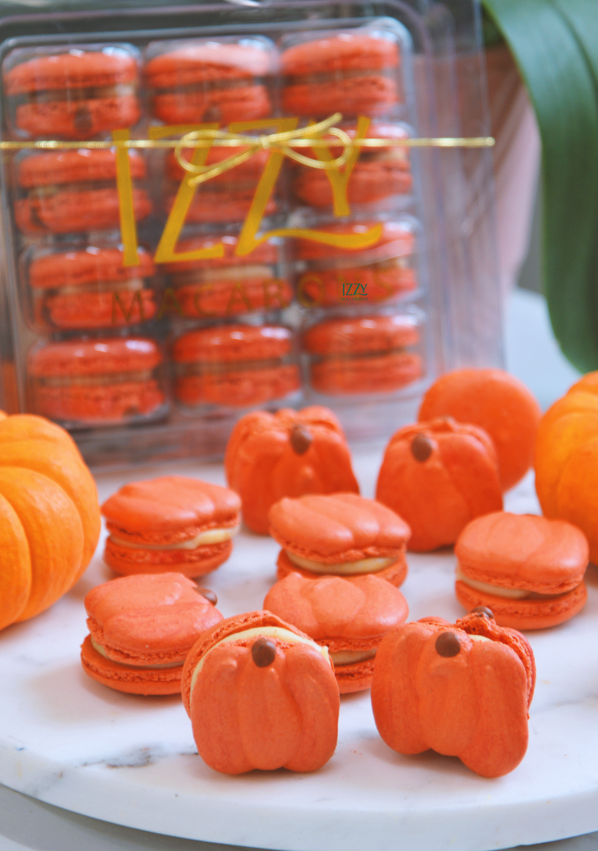Pumpkin Macarons - Pumpkin Spice Cheesecake