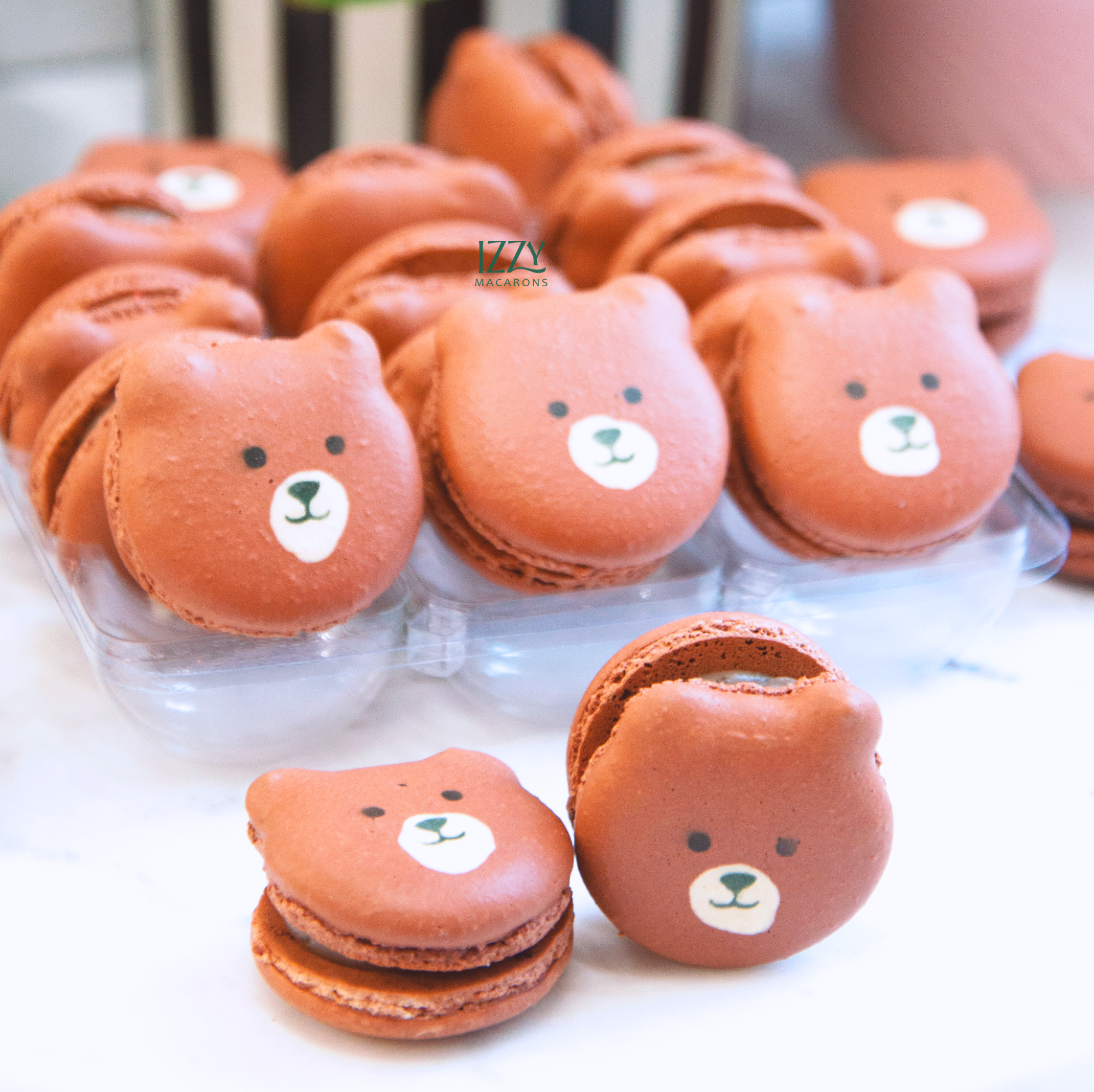 Teddy Bears Macarons