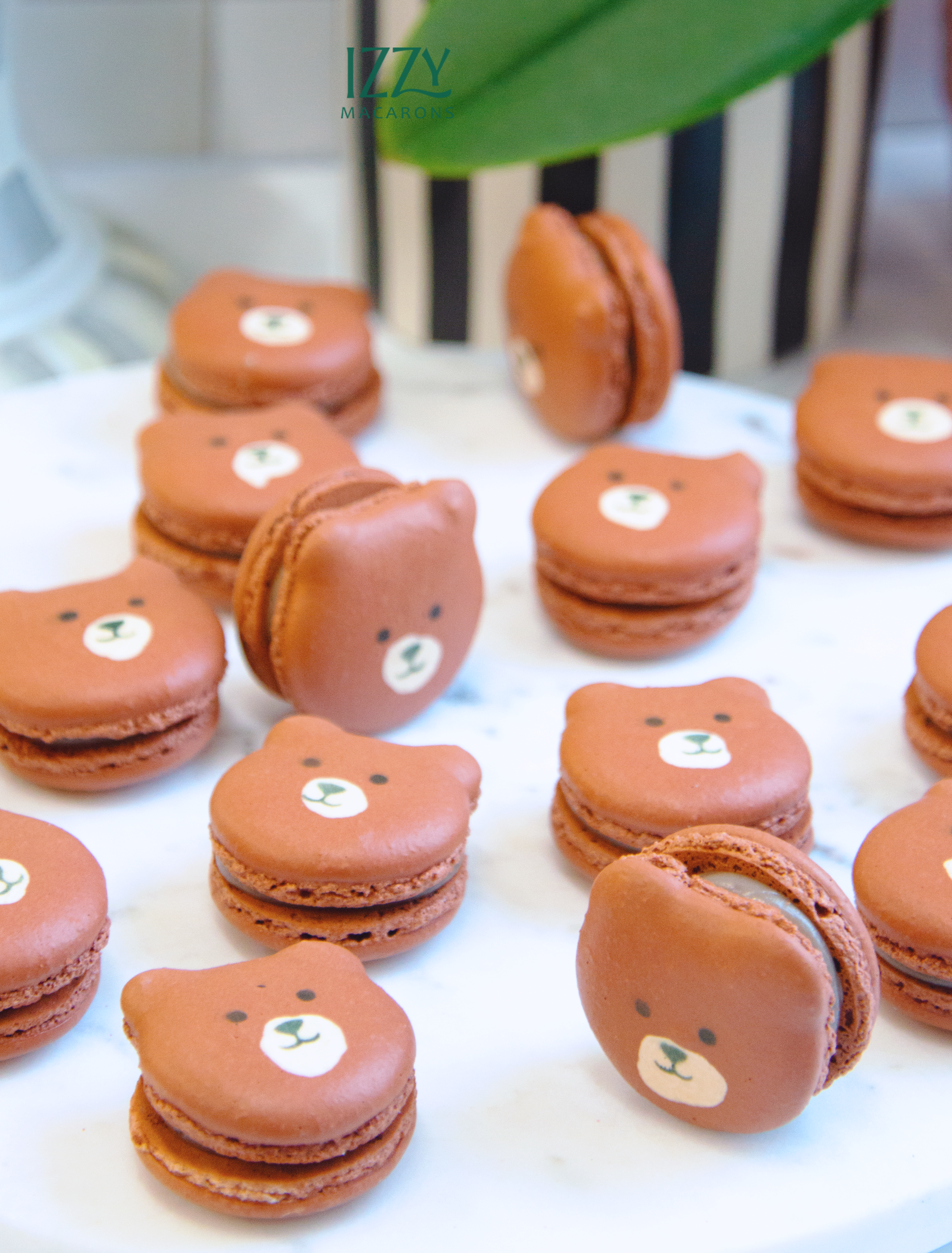 Teddy Bears Macarons