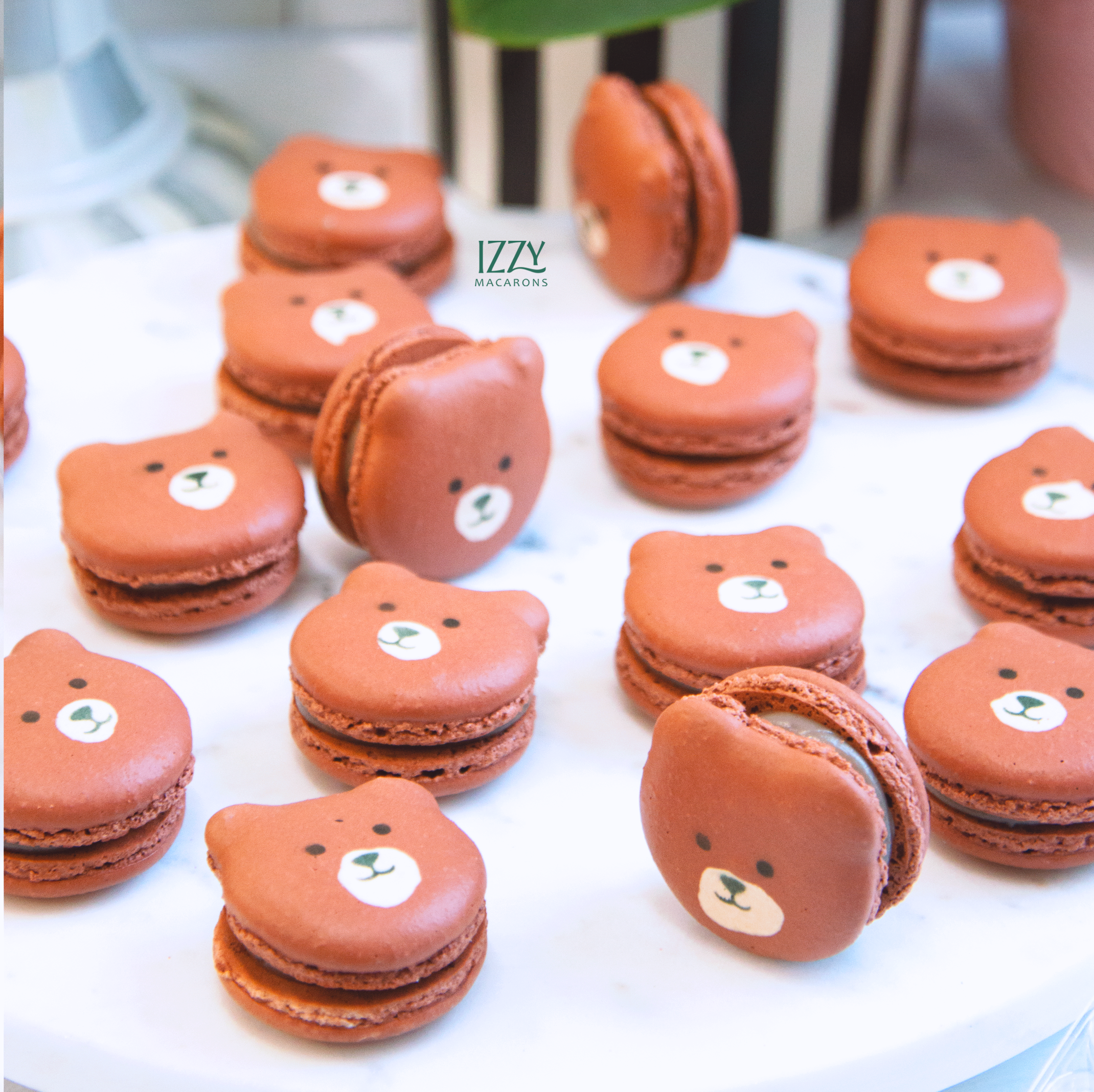 Teddy Bears Macarons