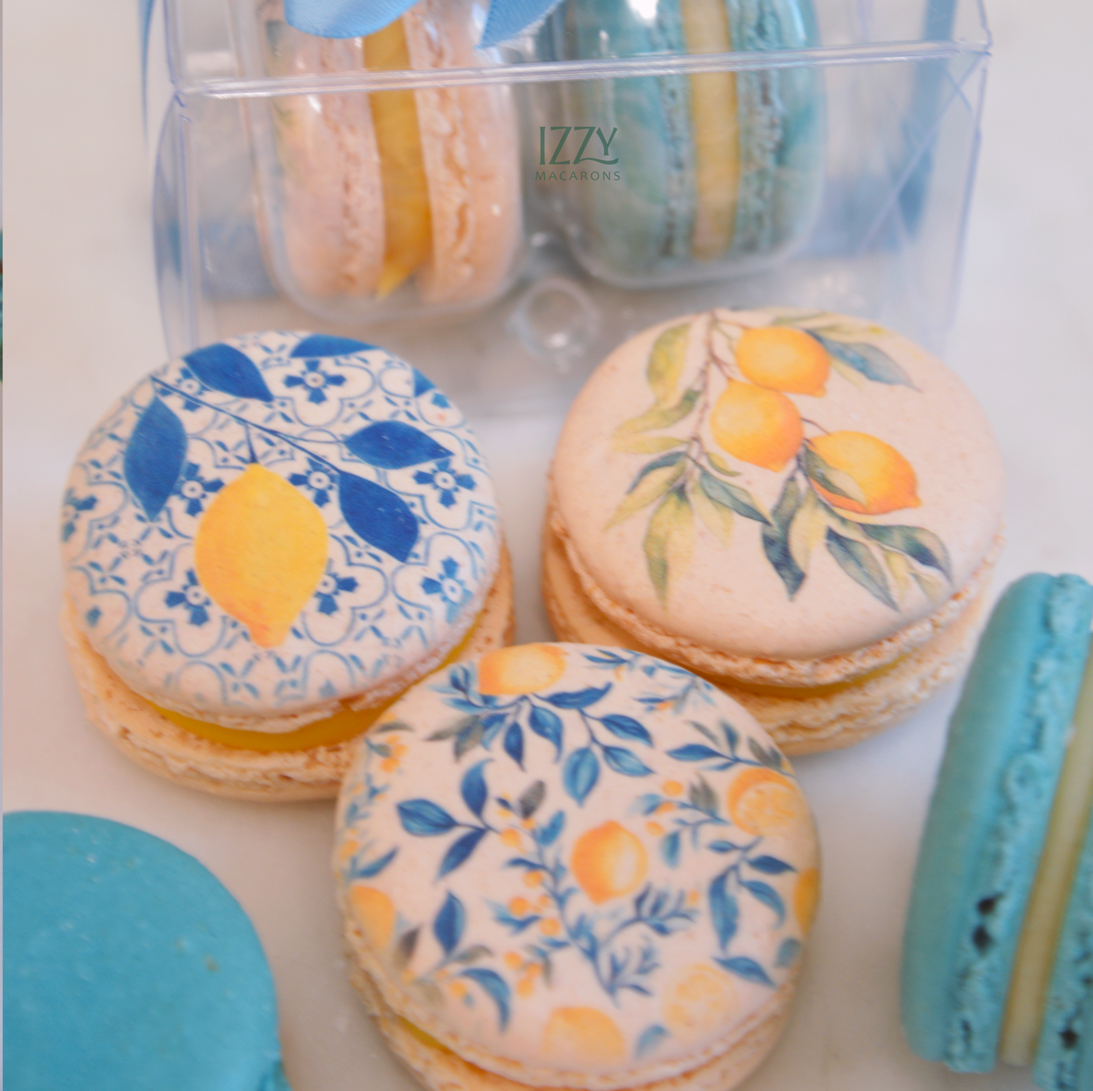 Customized Party Favor Macarons