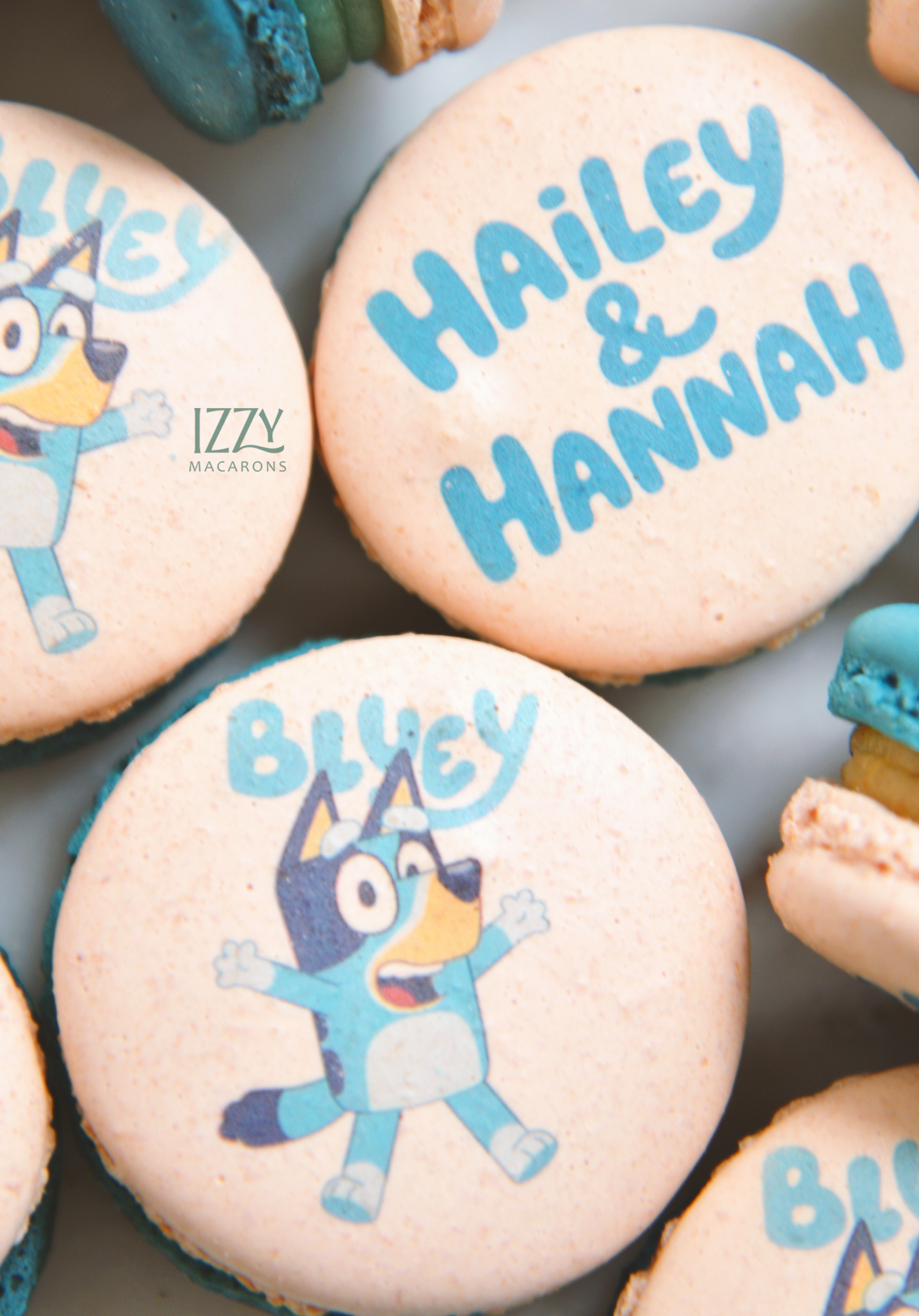 Bluey dog Macarons - Birthday Themed
