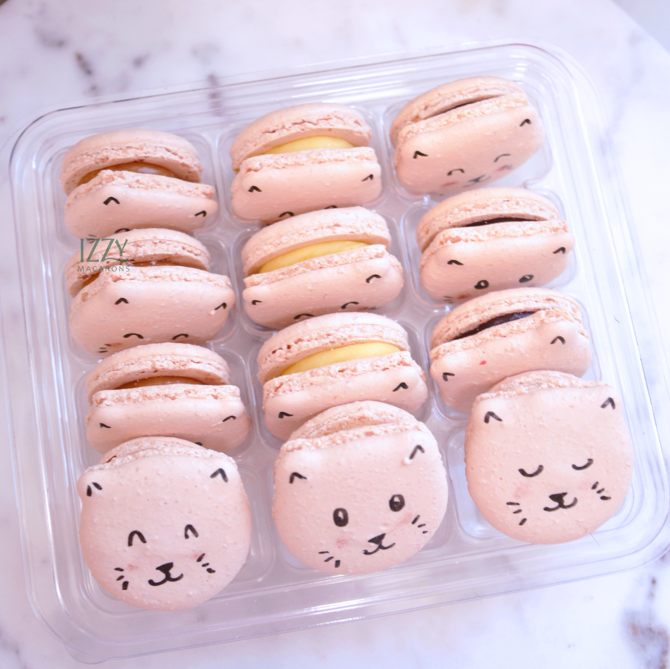 Cat Macarons
