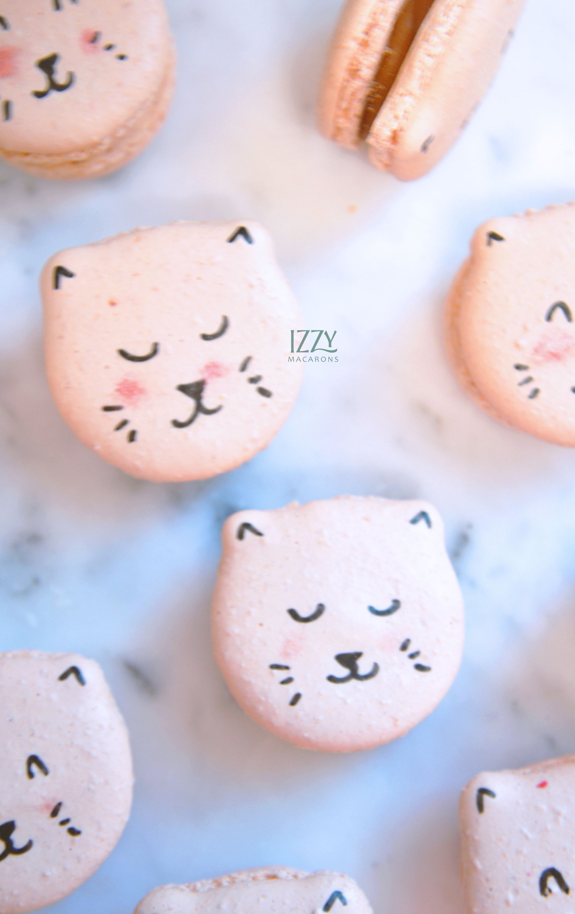 Cat Macarons