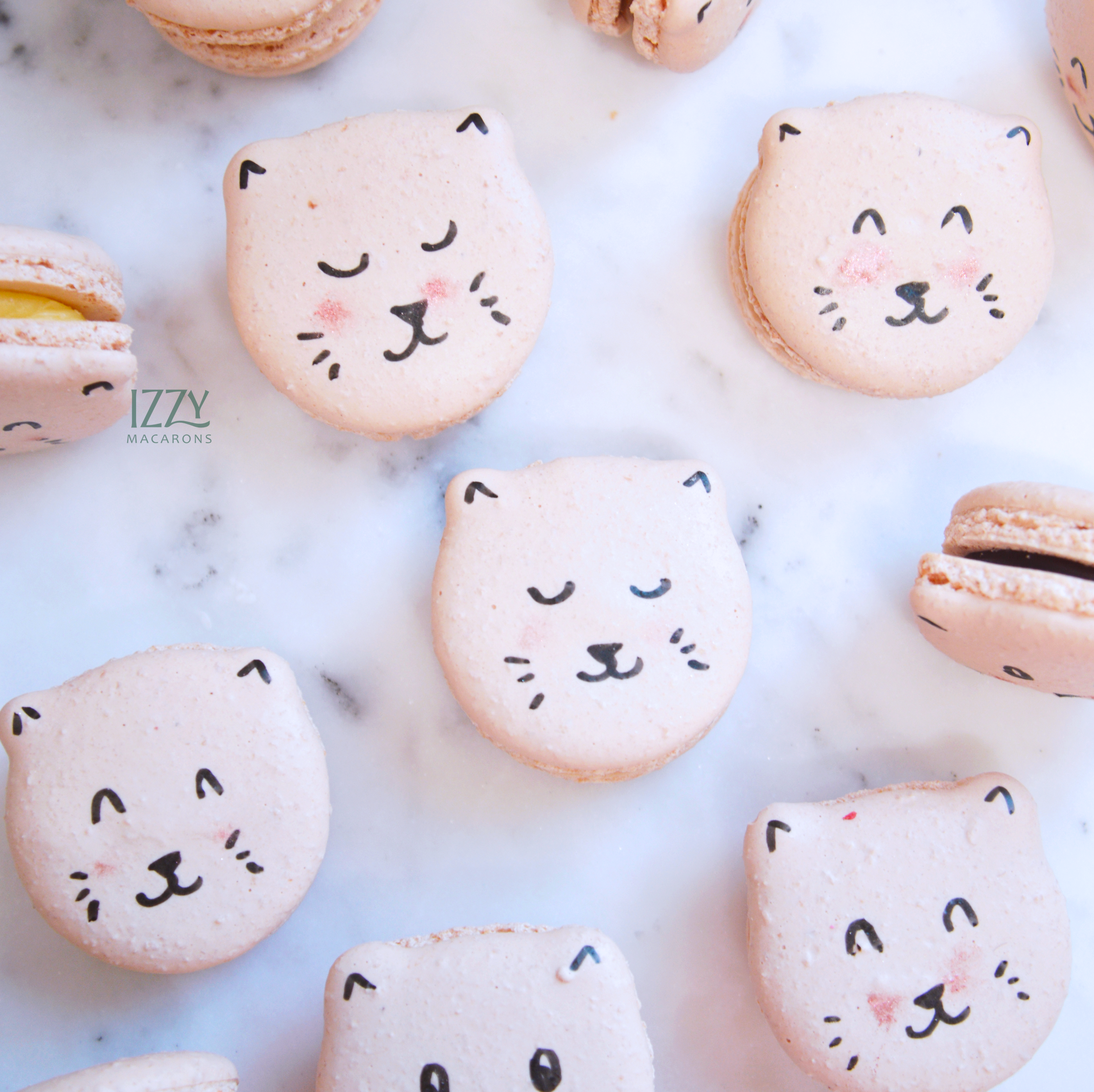 Cat Macarons