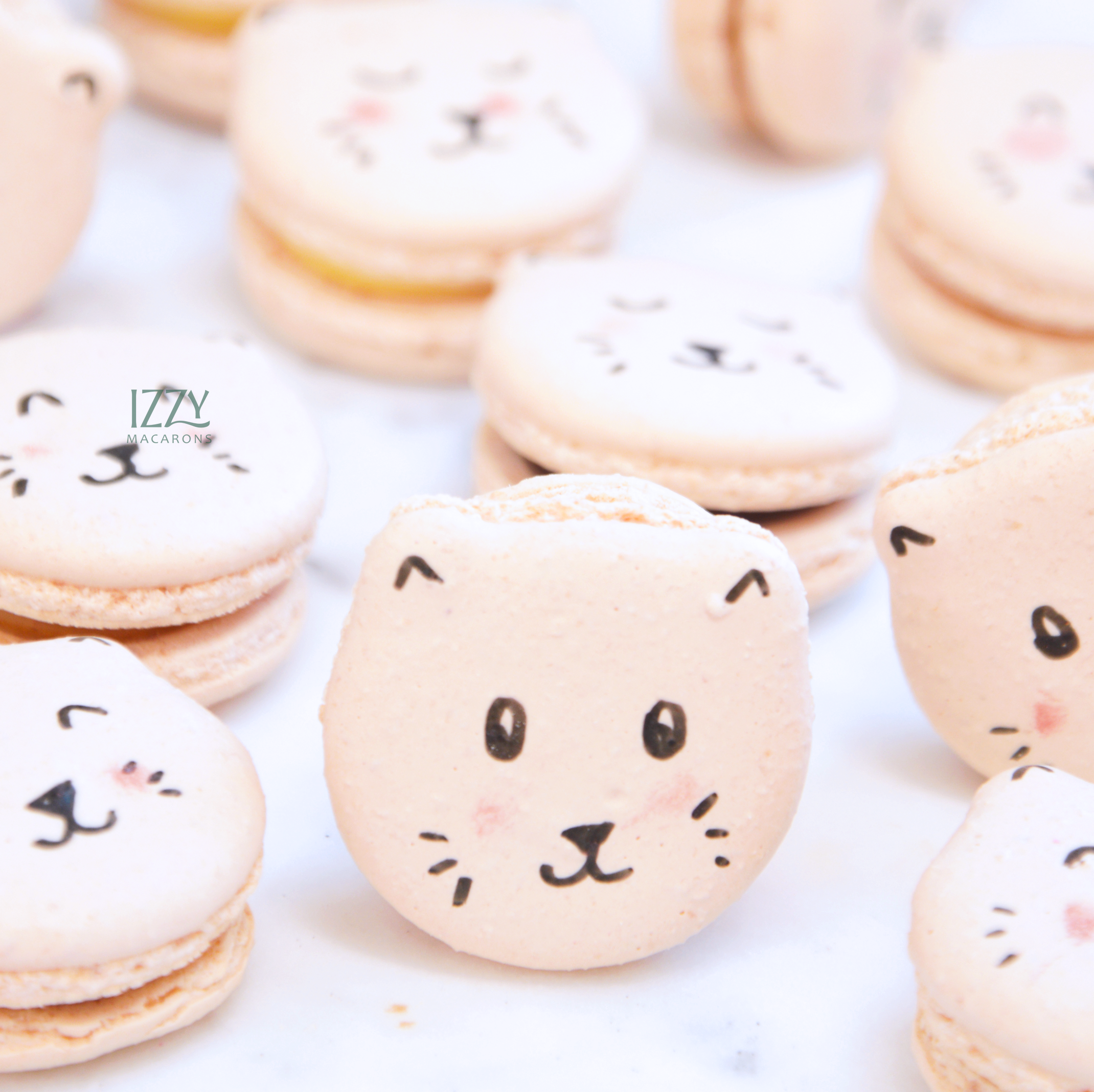 Cat Macarons
