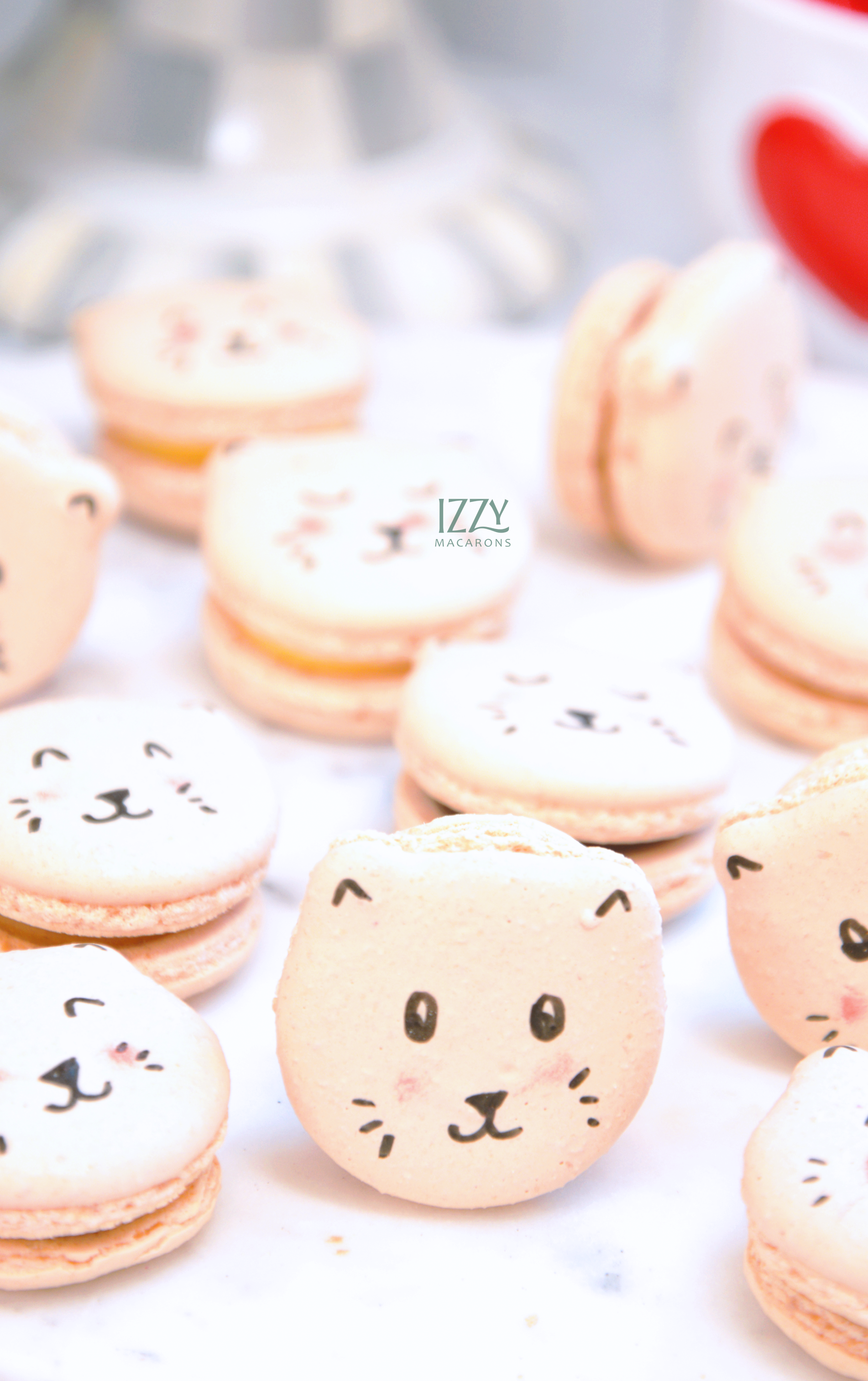 Cat Macarons