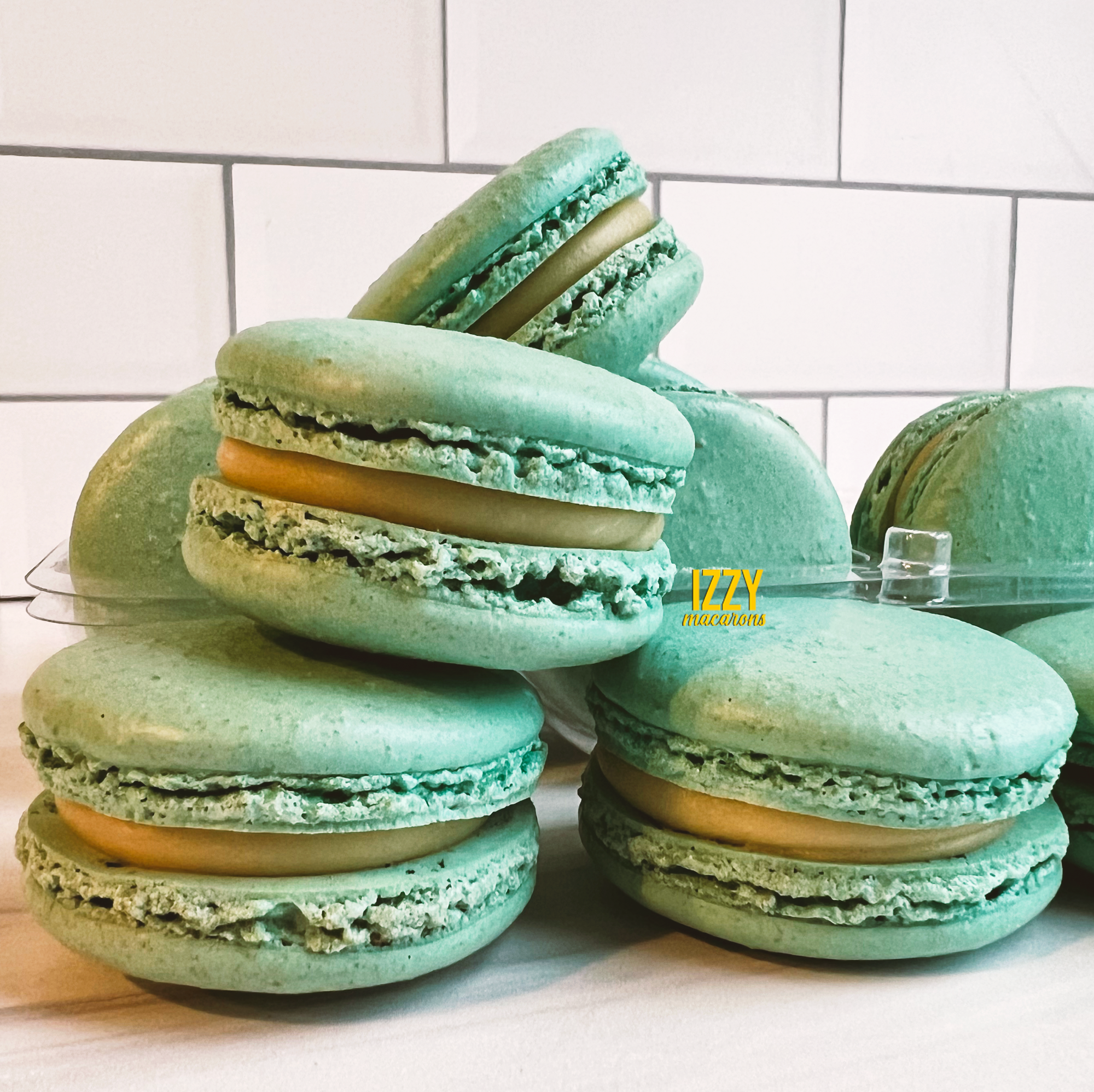 Cheesecake Light Teal - French Macarons