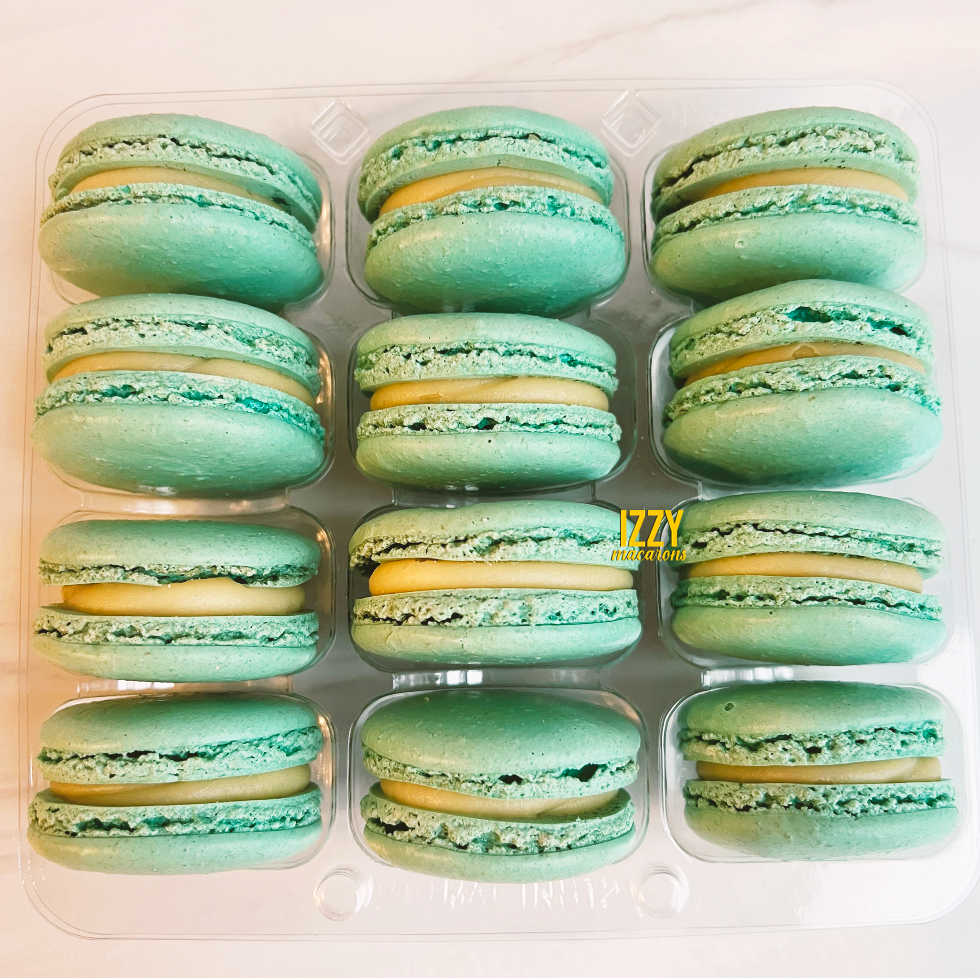 Cheesecake Light Teal - French Macarons
