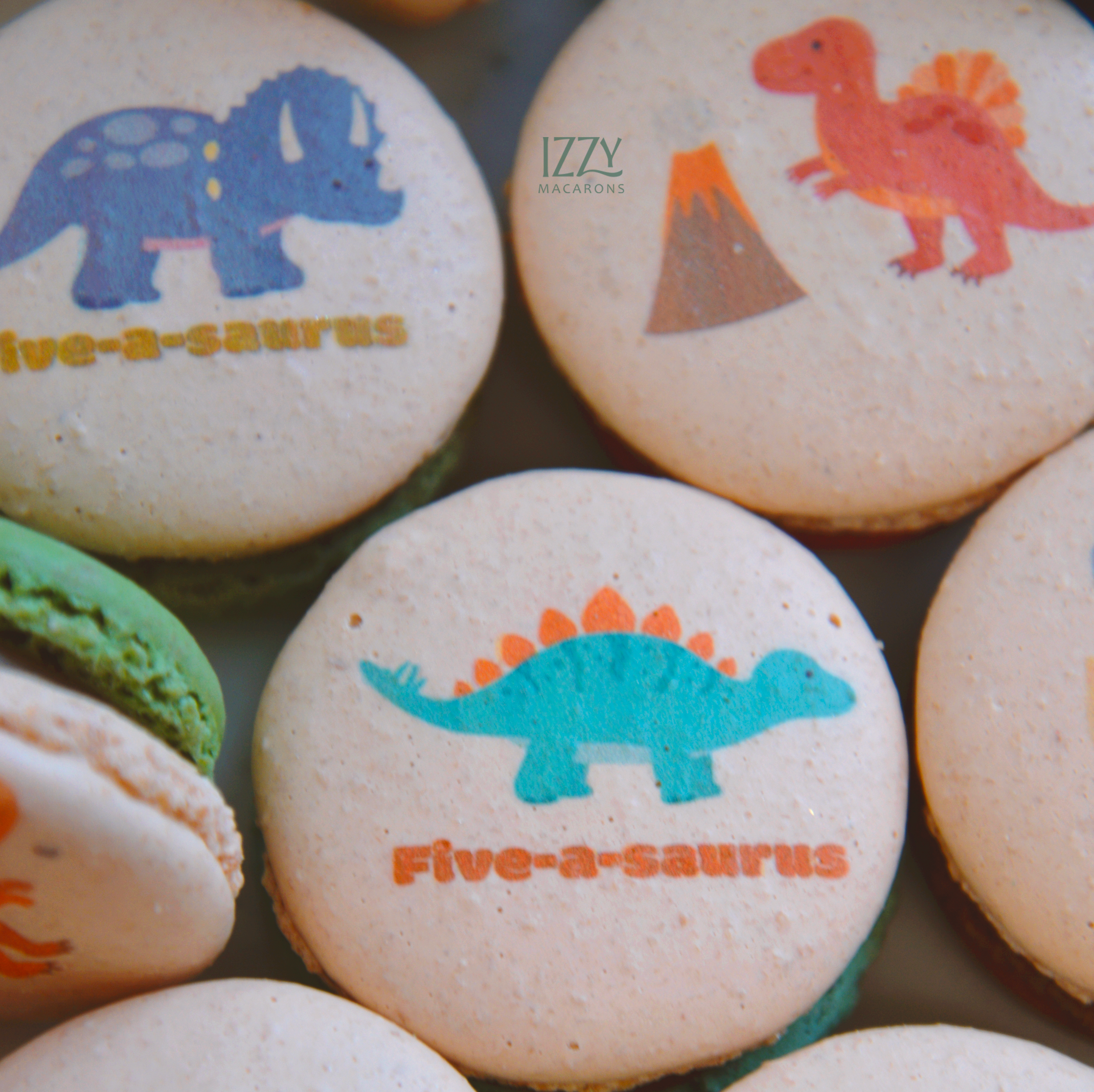 Dino Print Macarons
