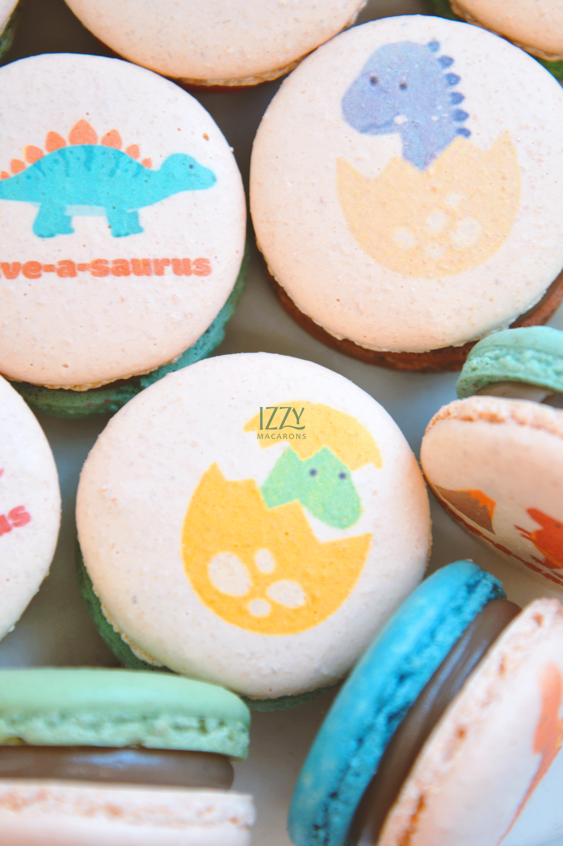 Dino Print Macarons