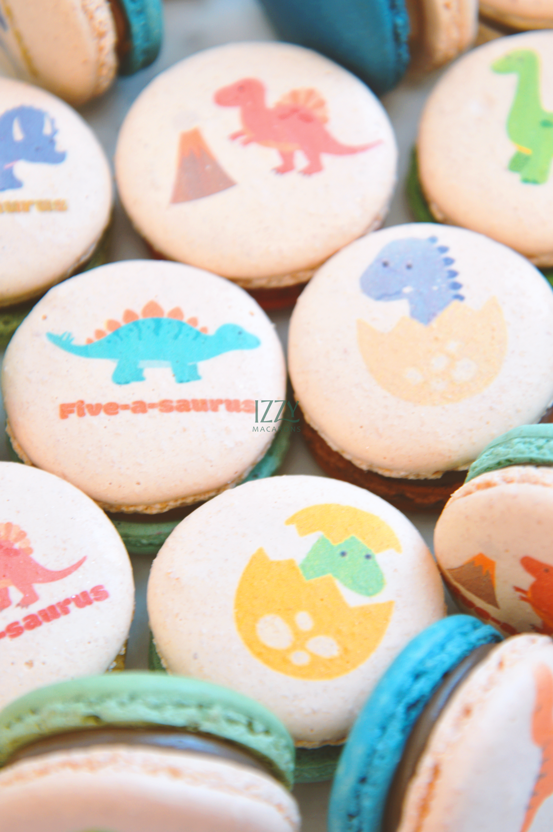 Dino Print Macarons
