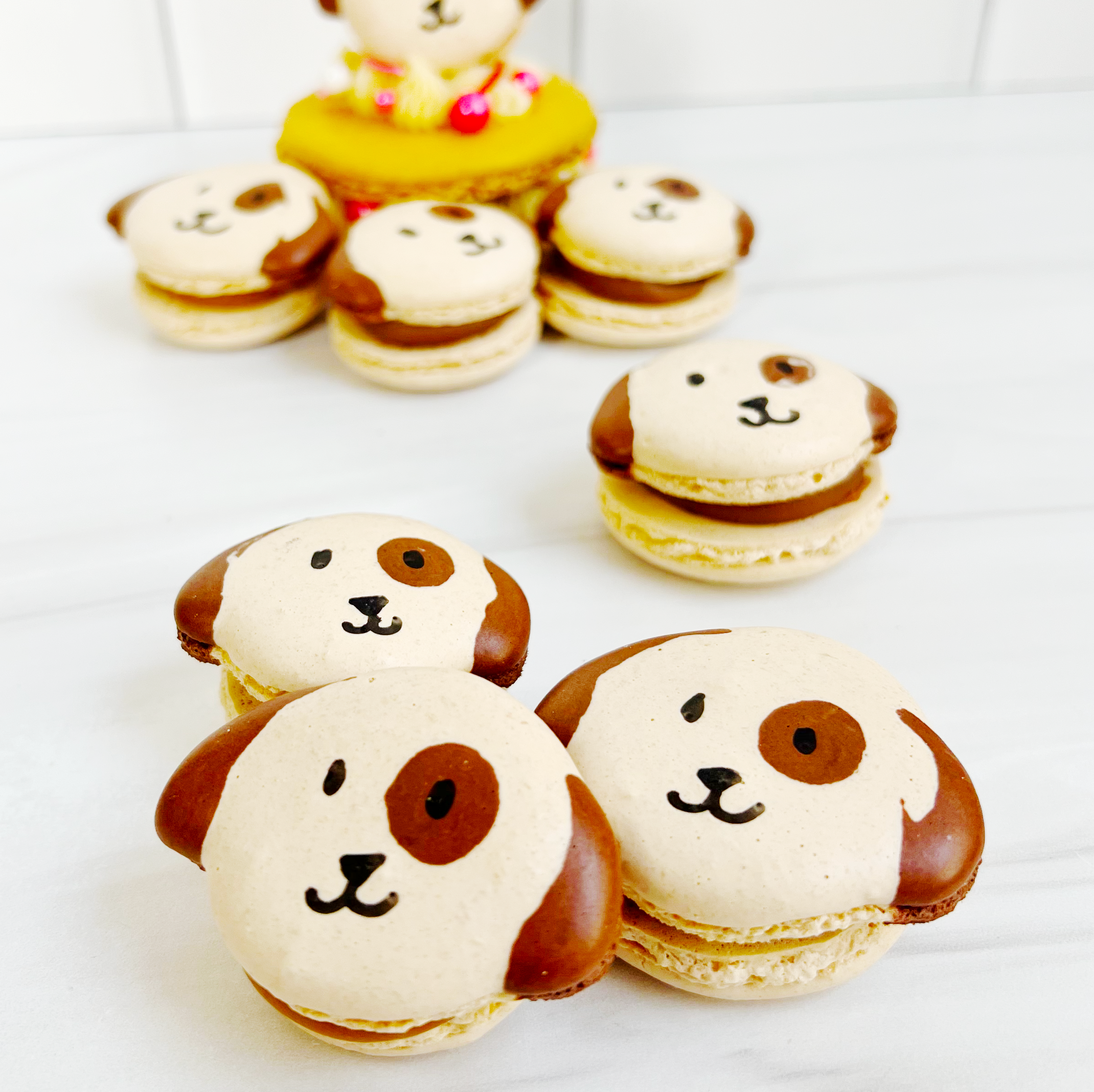 Dog Macarons