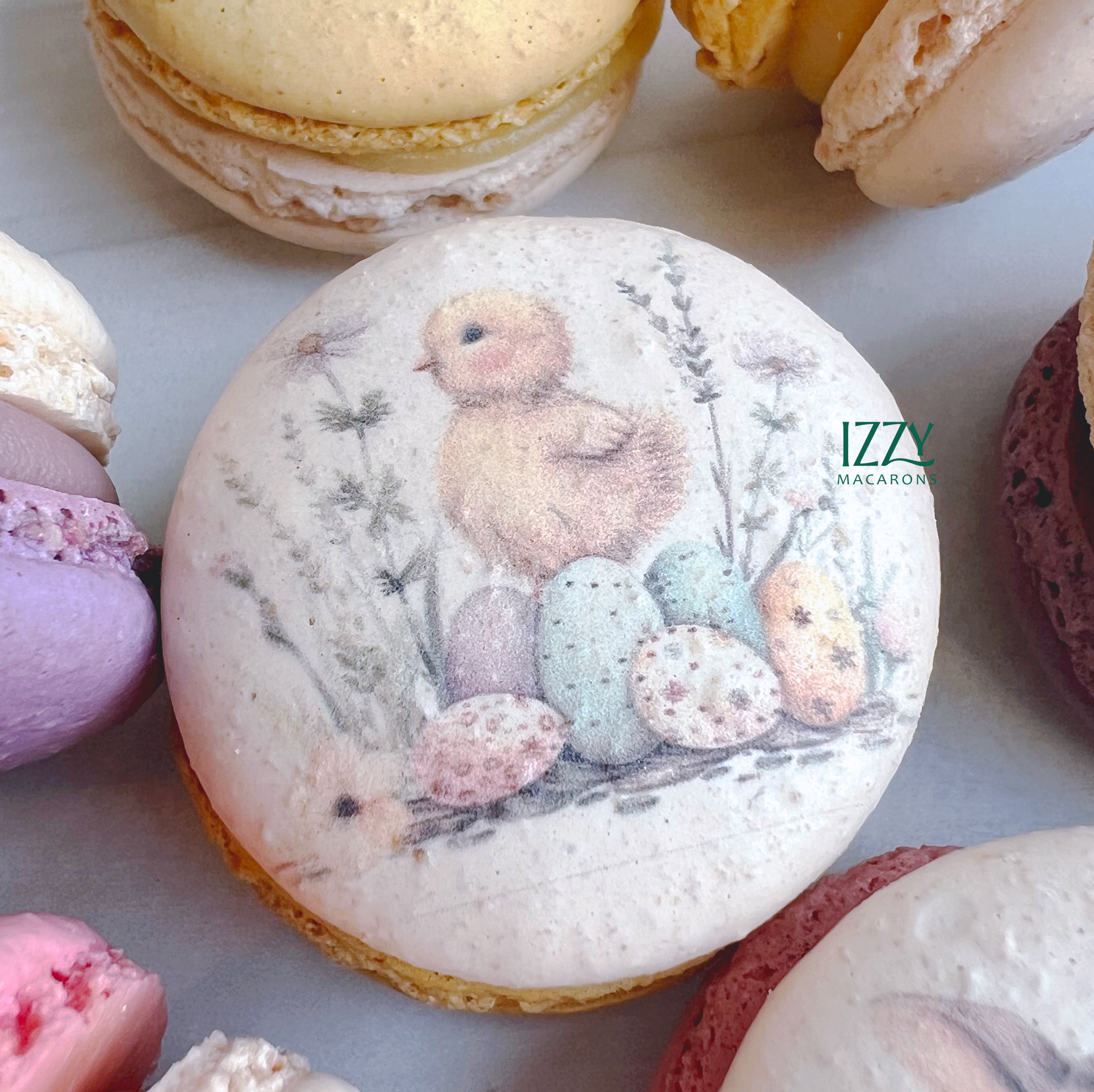 Easter Macarons - Bunny Prints
