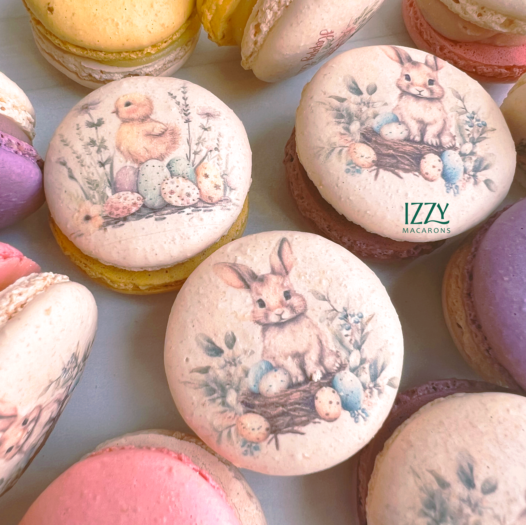 Easter Macarons - Bunny Prints