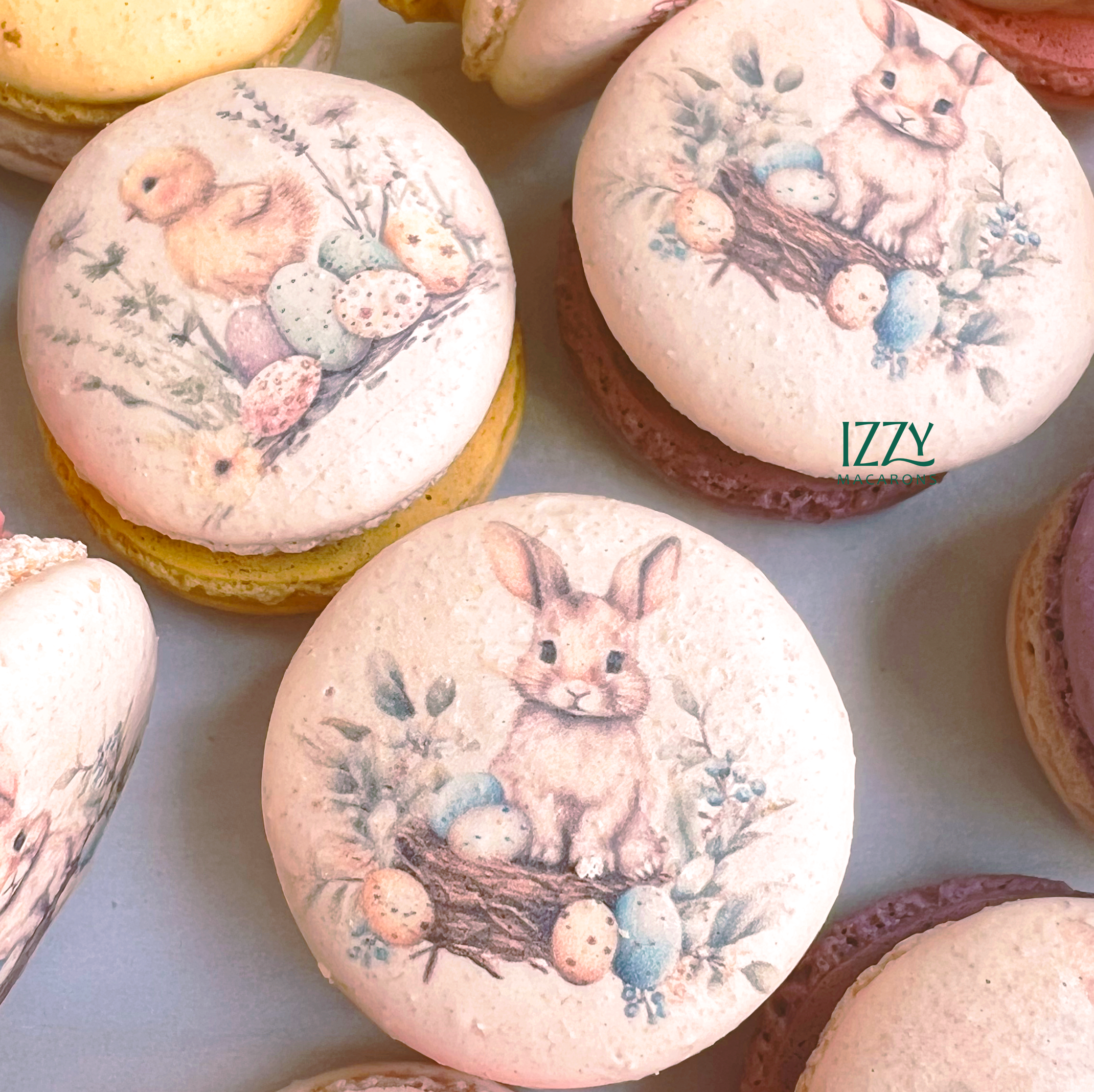 Easter Macarons - Bunny Prints
