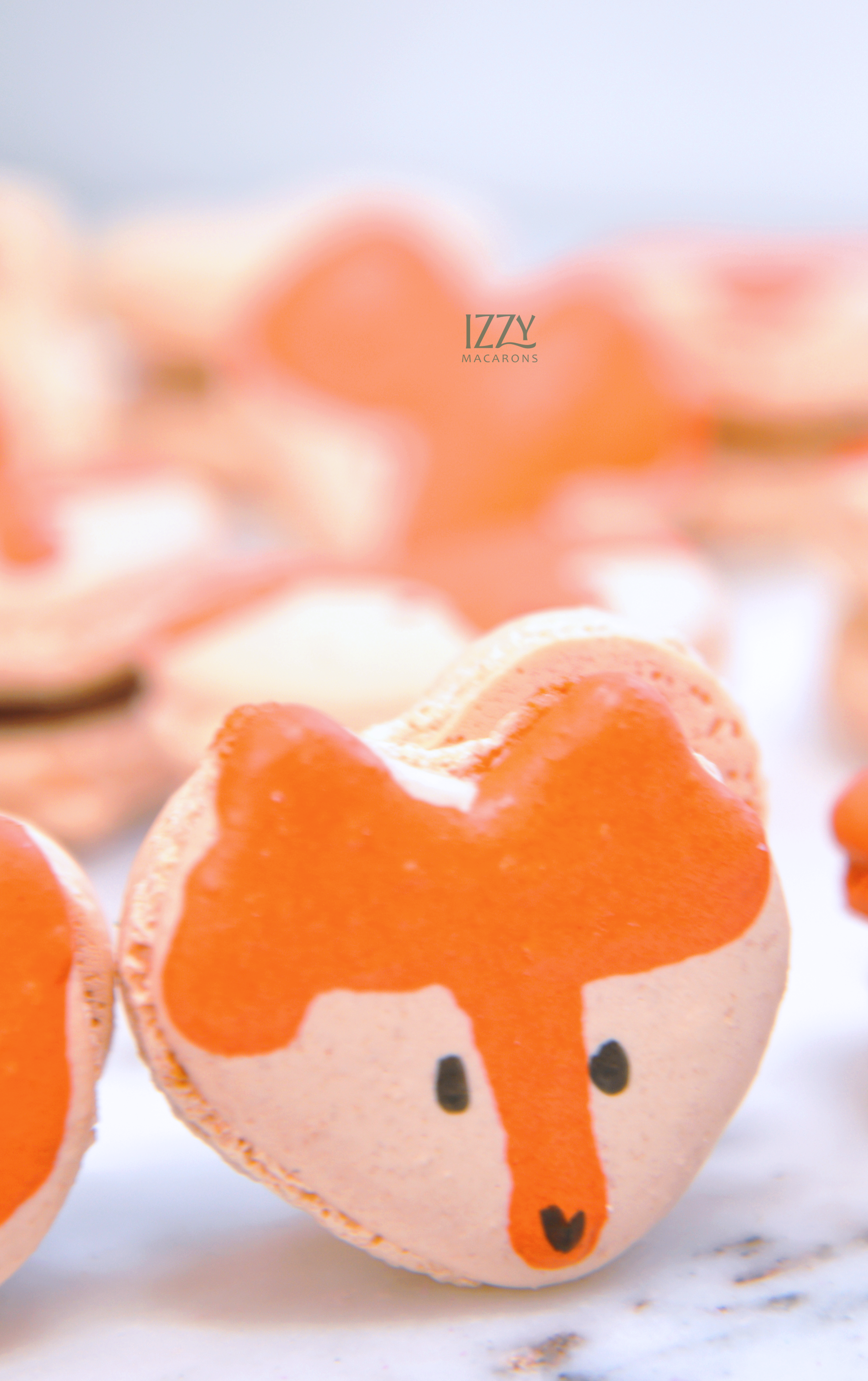 Fox Macarons