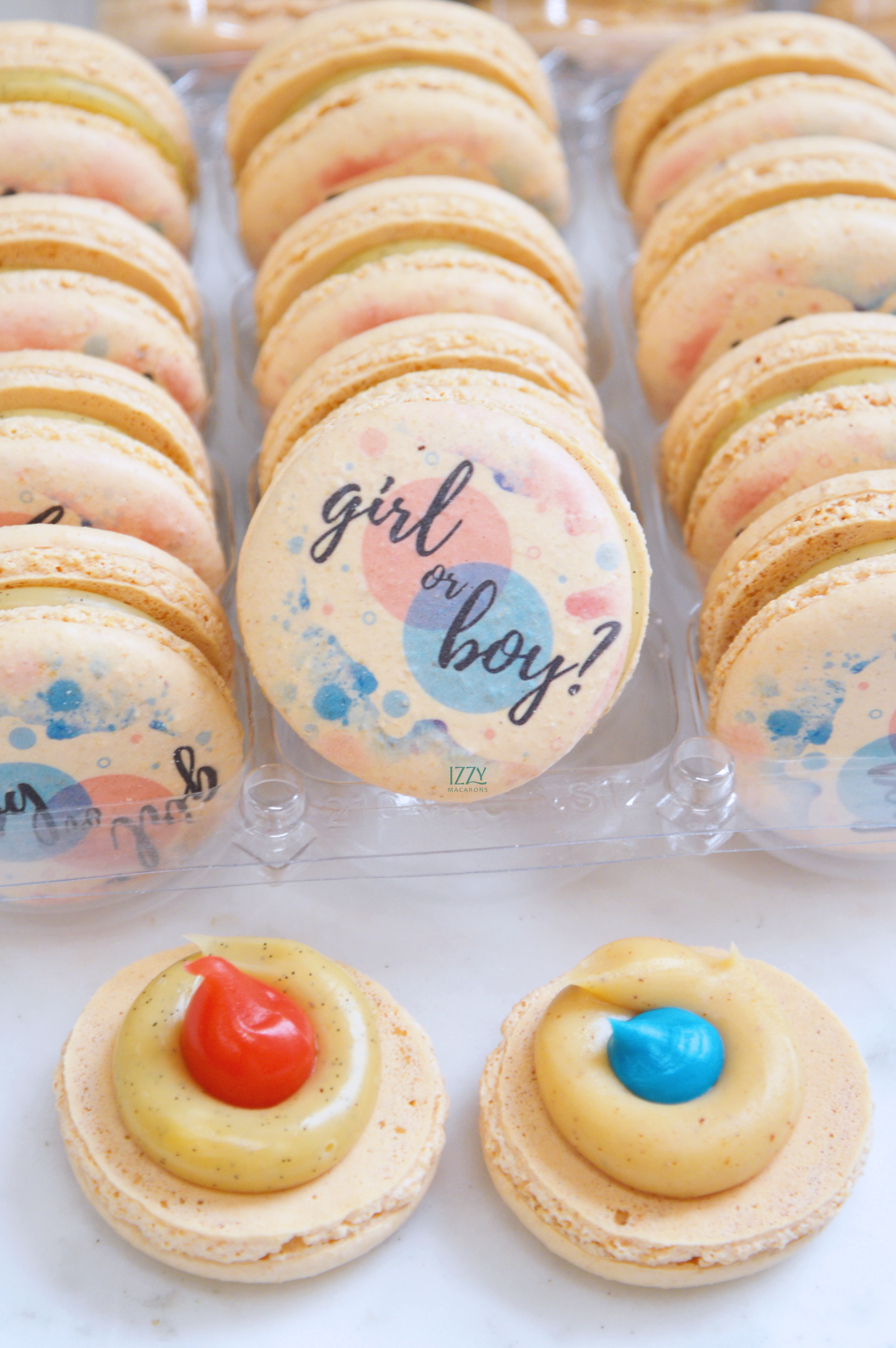 Gender Reveal Macarons / Boy or Girl?