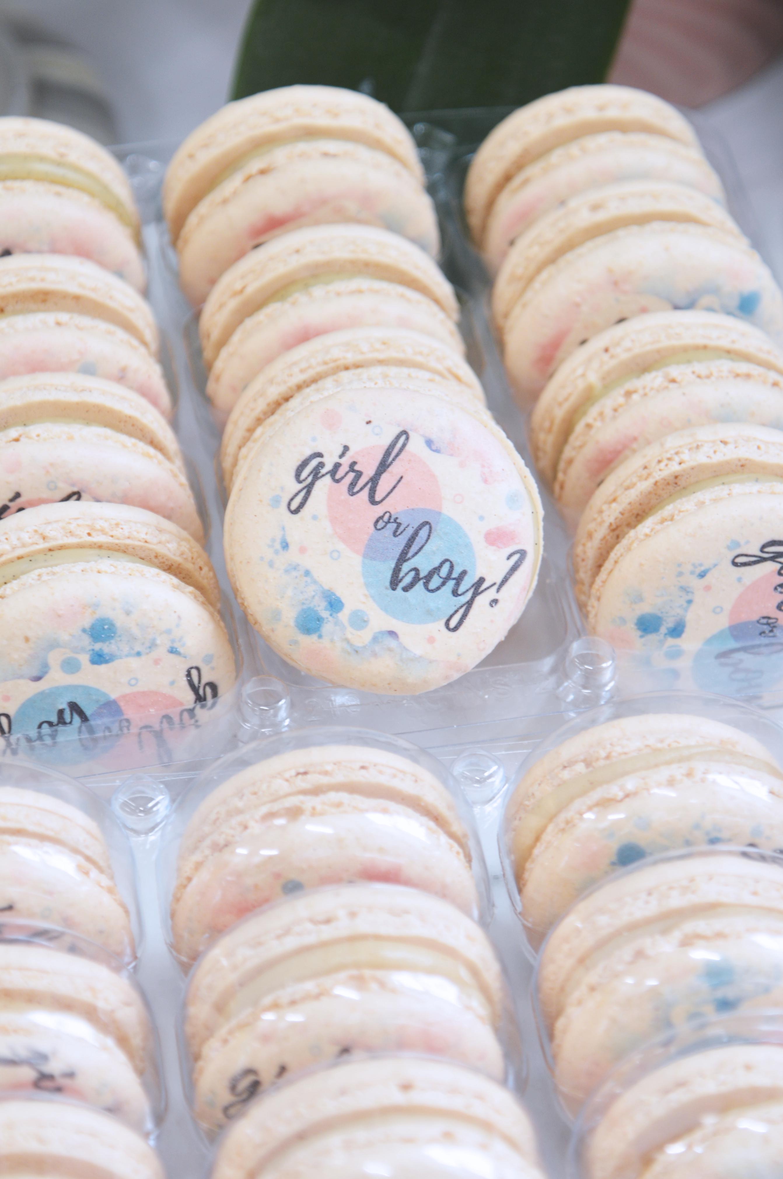 Gender Reveal Macarons / Boy or Girl?