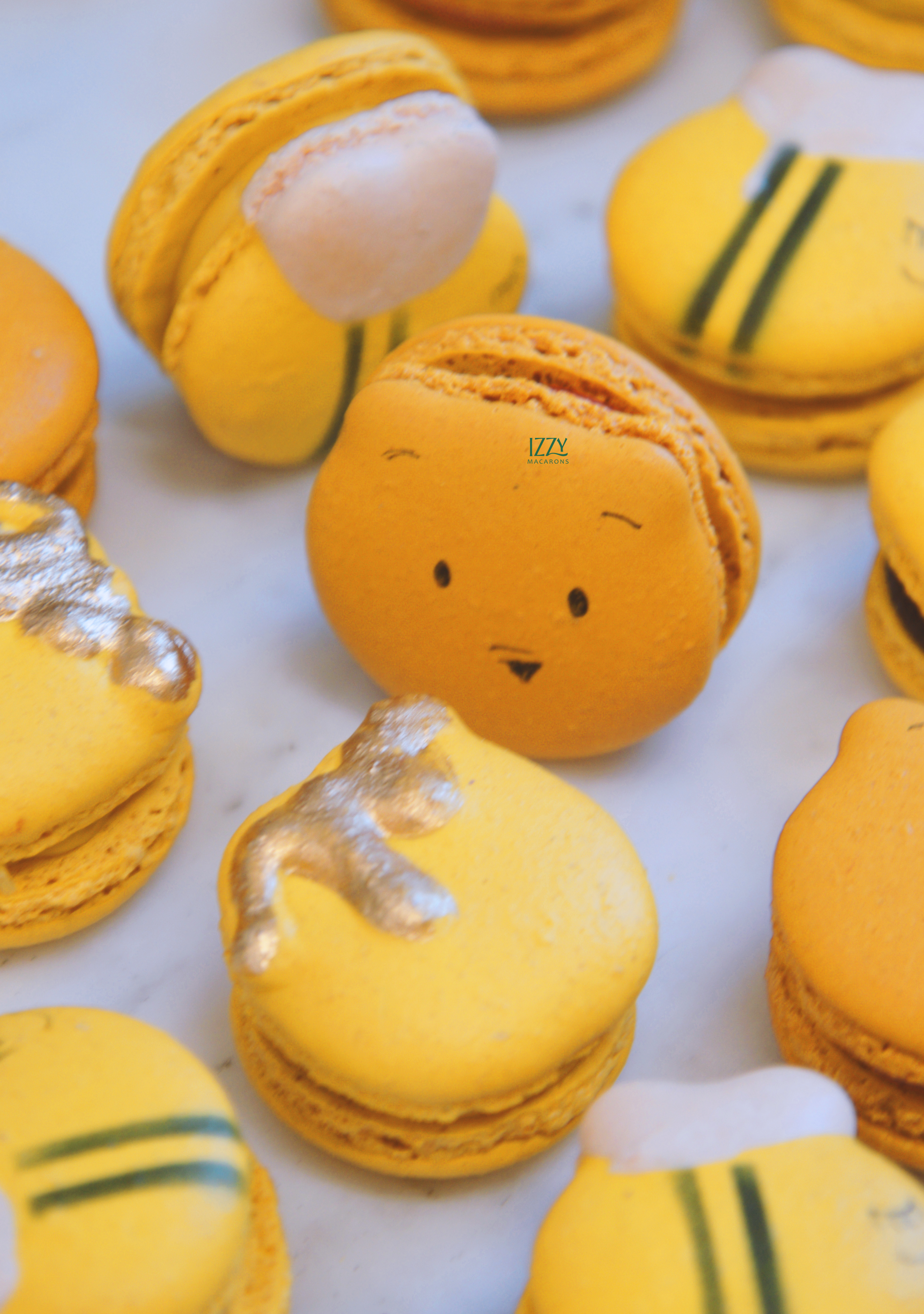 Honey Pot, Winnie and Bees Macarons