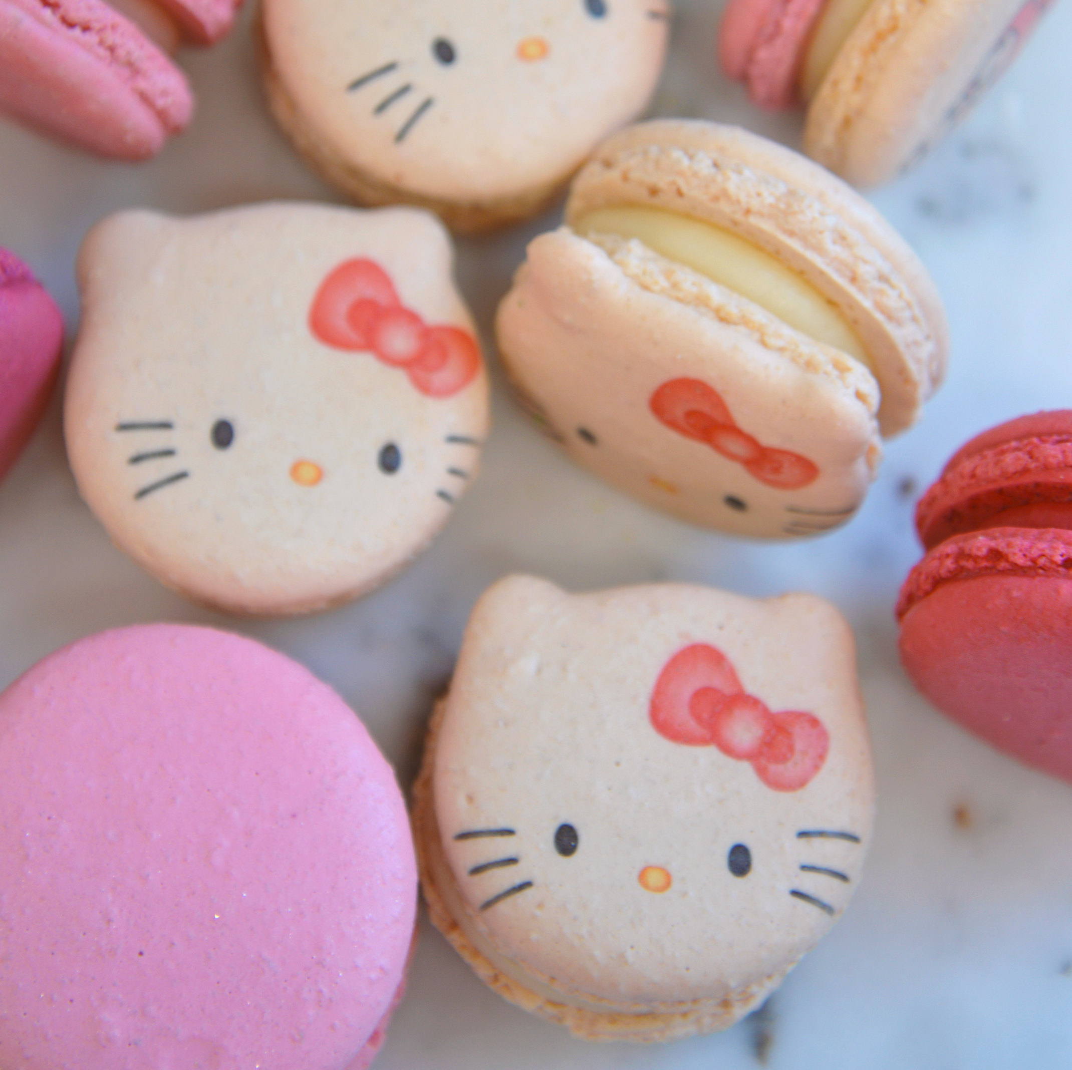 Kitty Cat Macarons