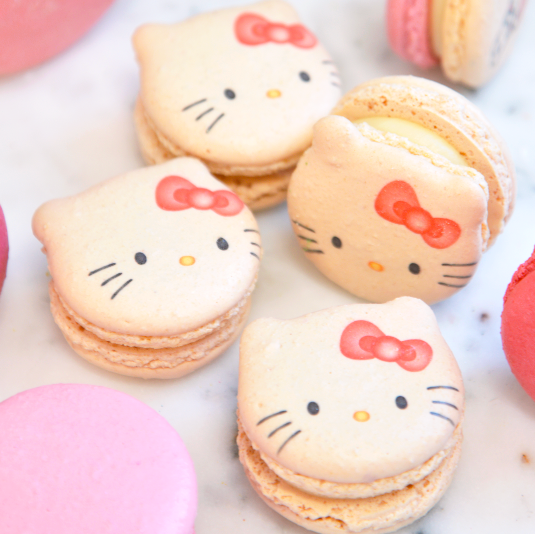 Kitty Cat Macarons