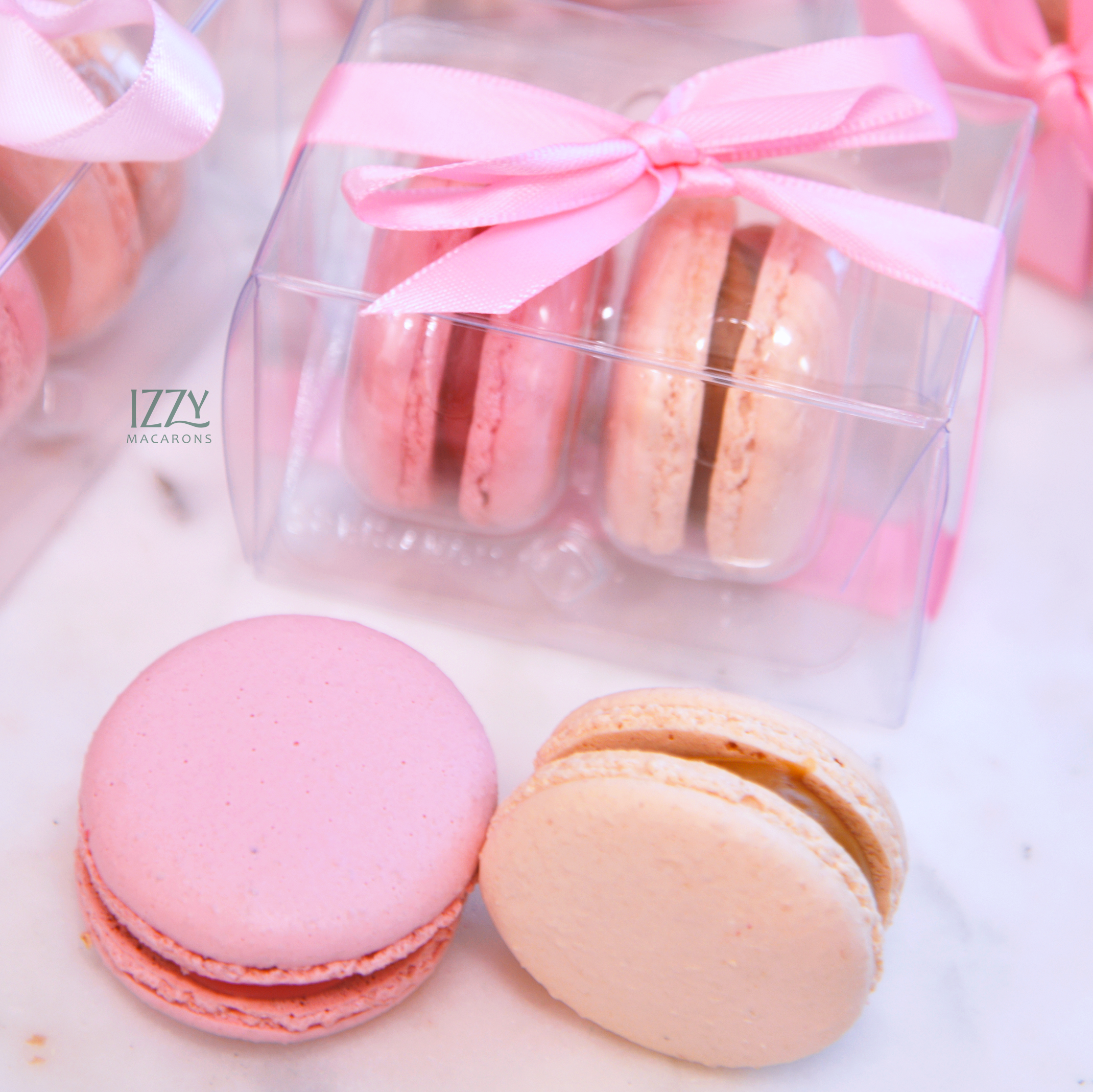 Party Favor Macarons