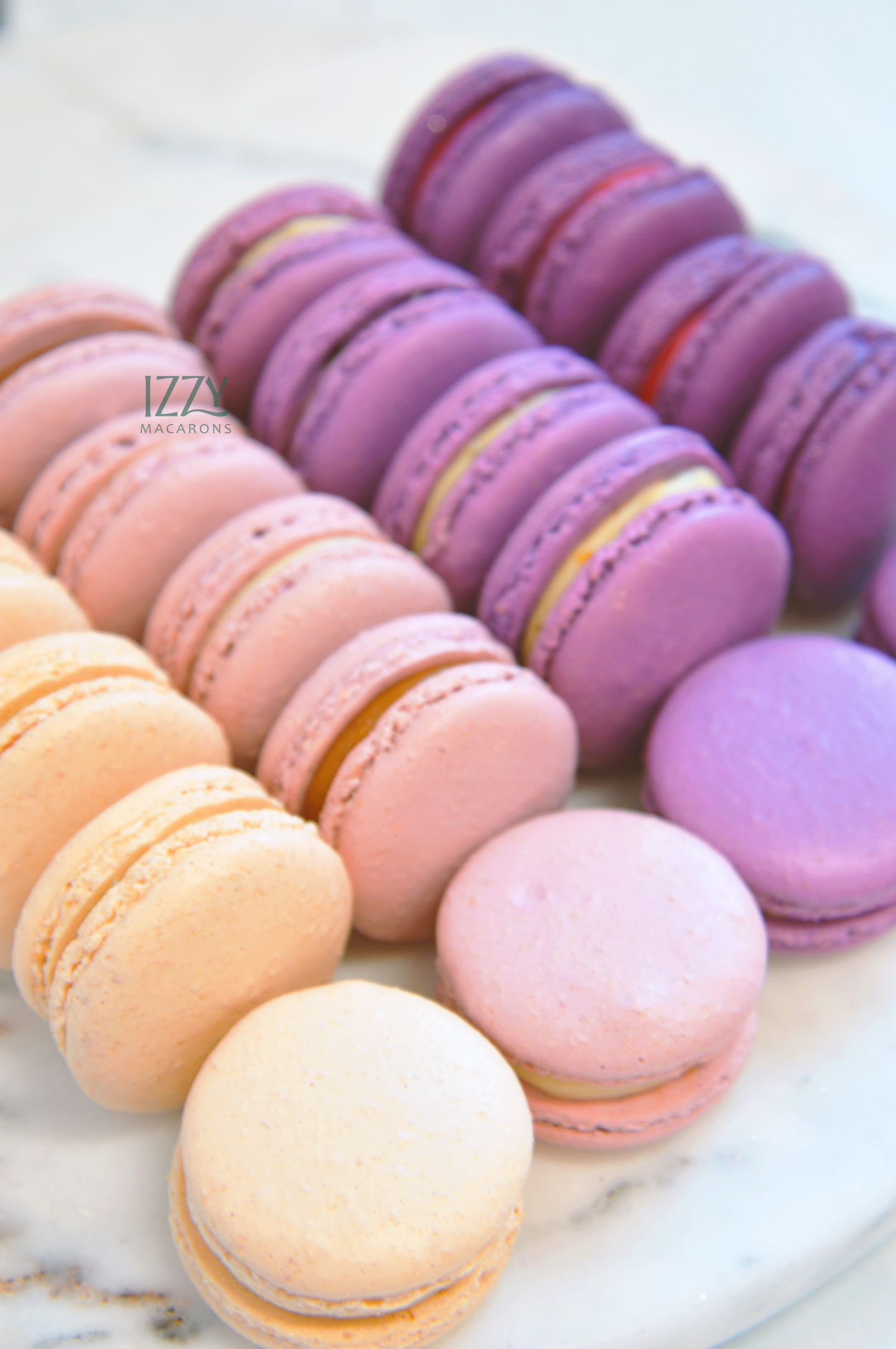 Purple Ombre