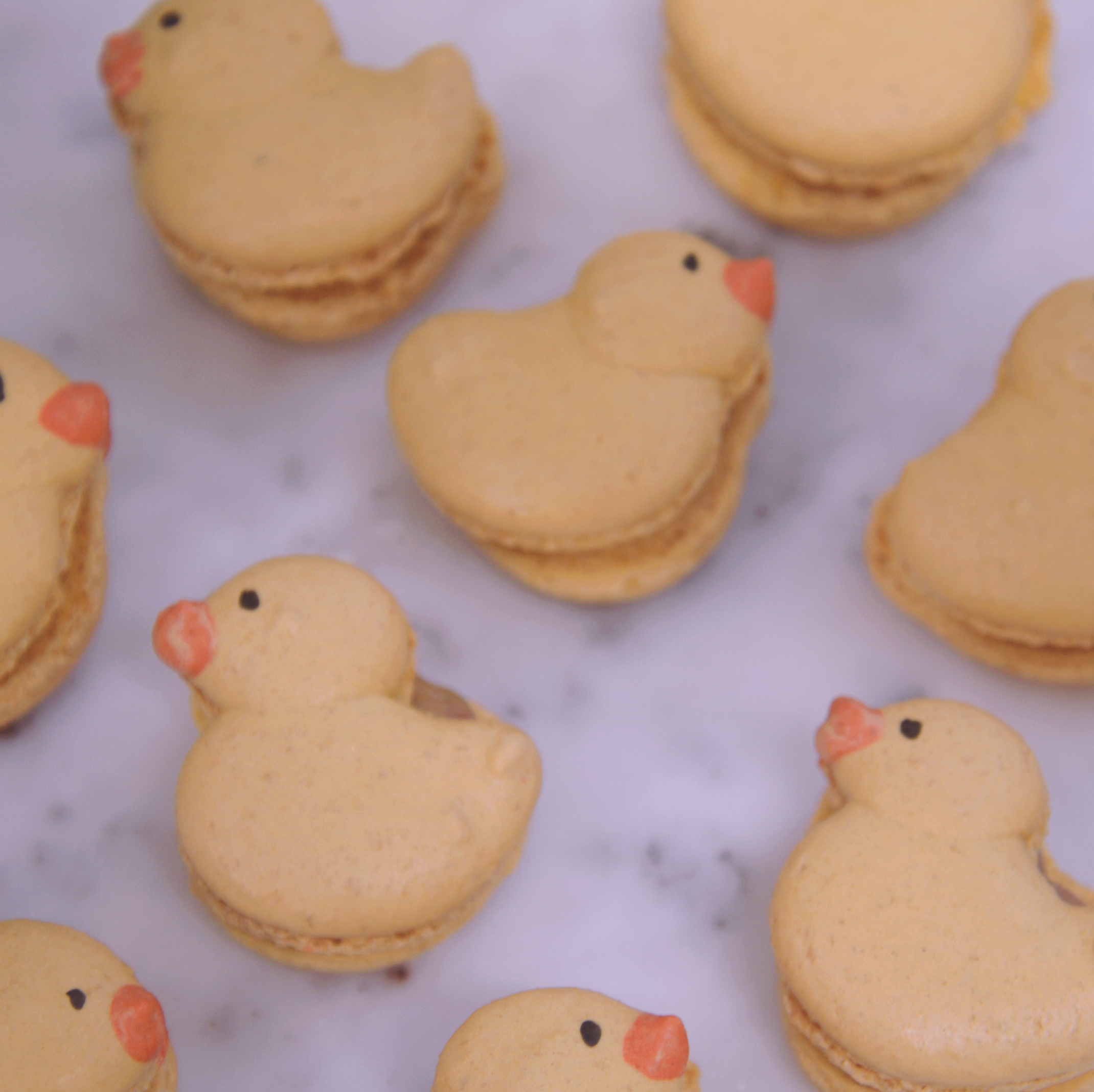 Rubber Duck Macarons