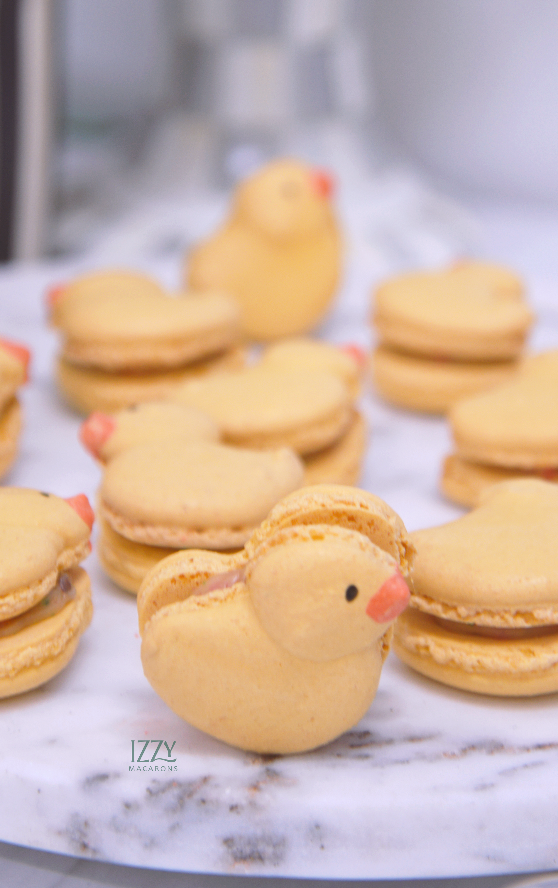 Rubber Duck Macarons