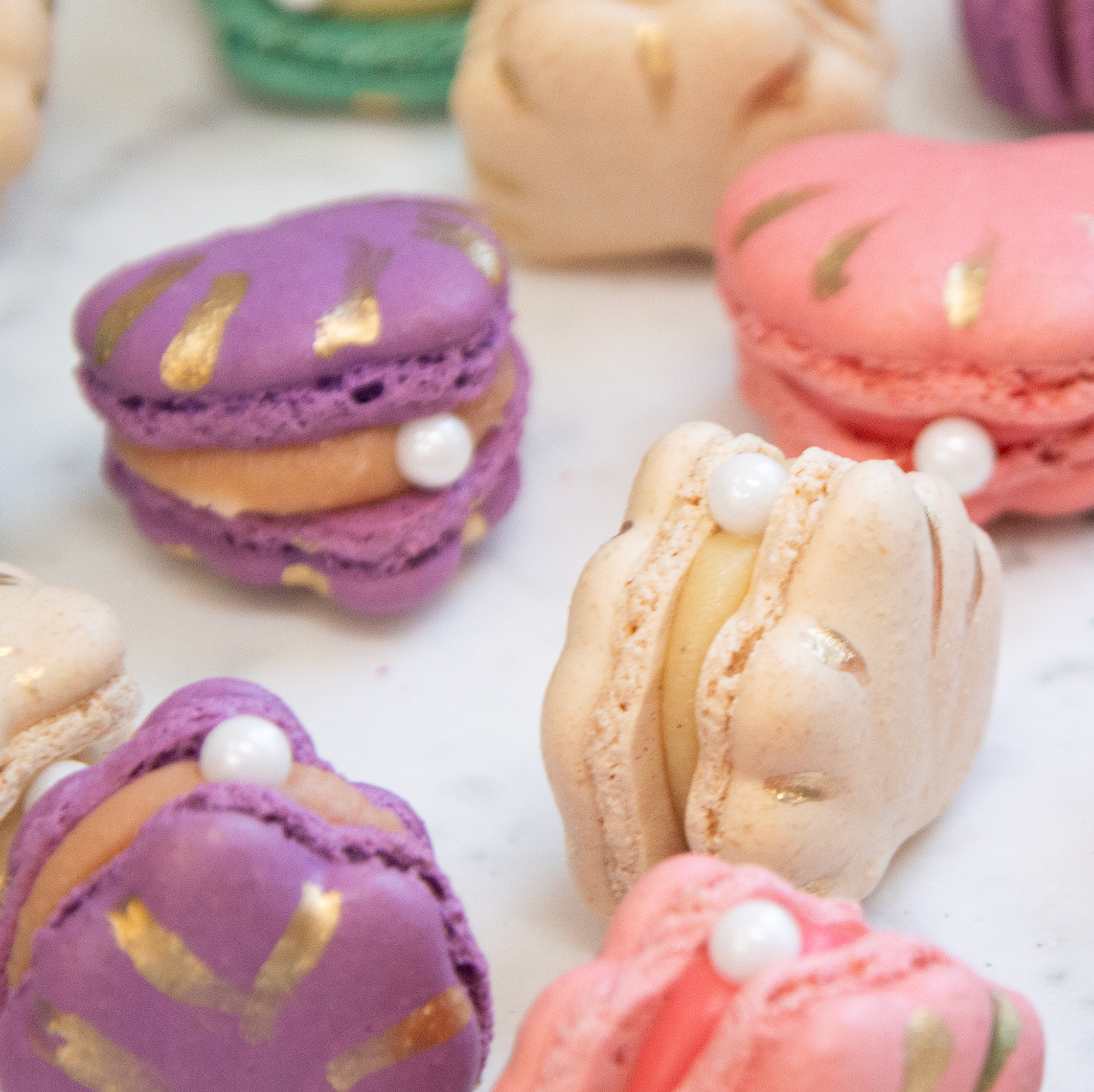 Seashell Macarons