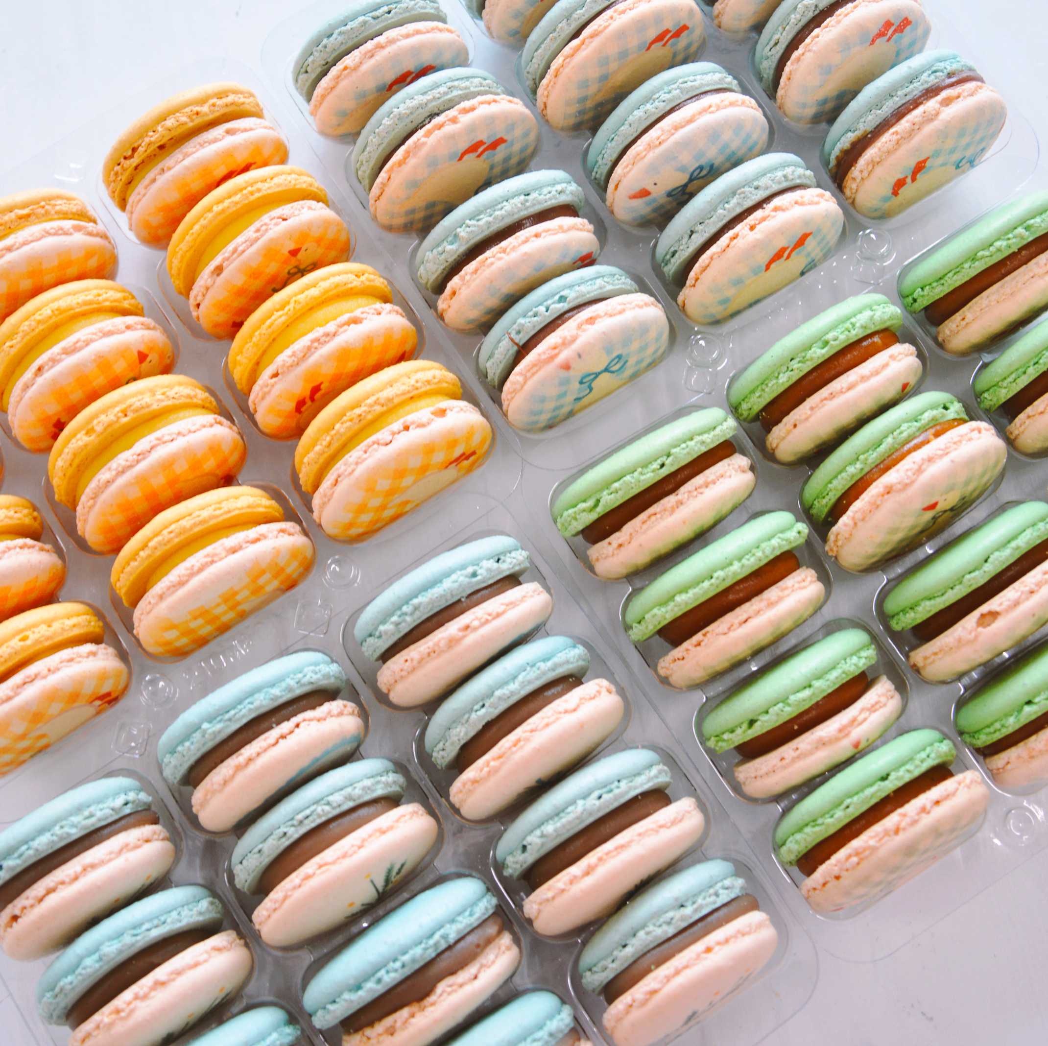 One Silly Birthday Macarons - Silly Goose Baby shower