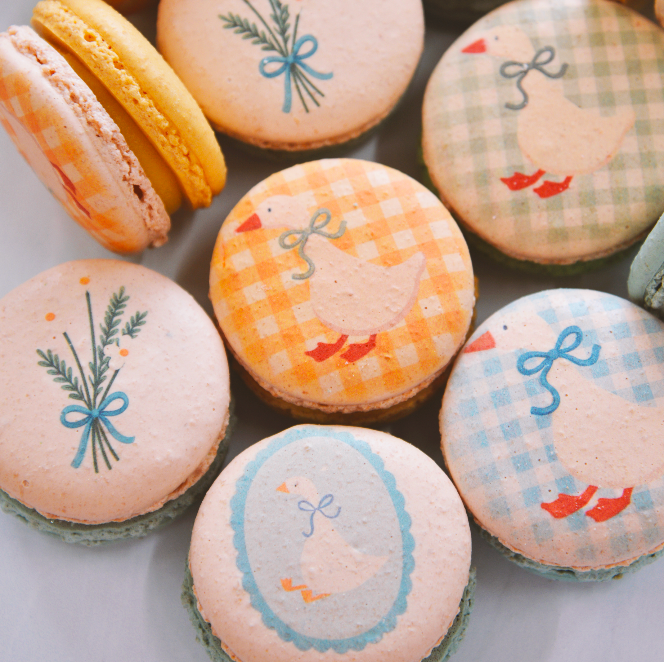 One Silly Birthday Macarons - Silly Goose Baby shower