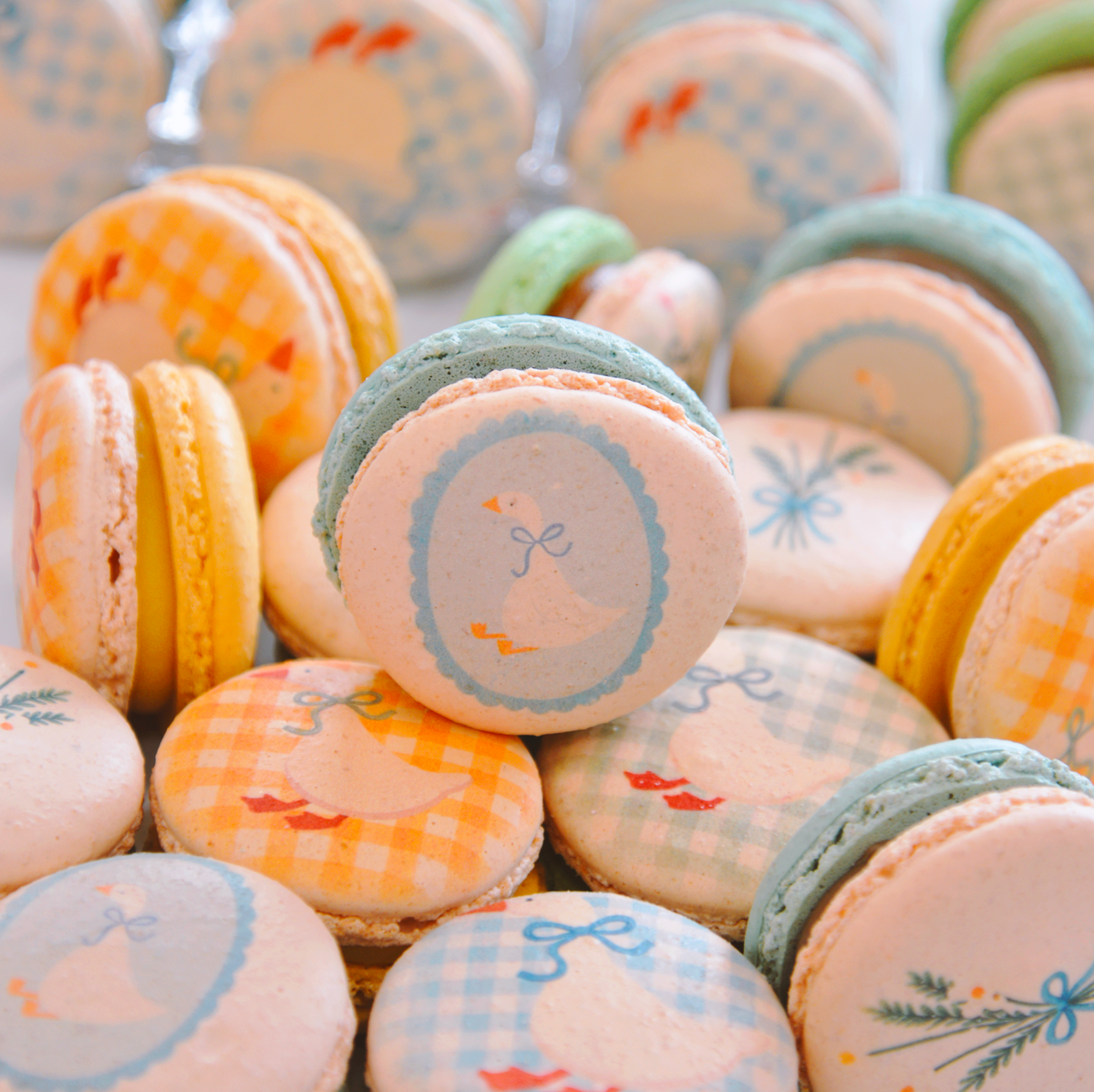One Silly Birthday Macarons - Silly Goose Baby shower