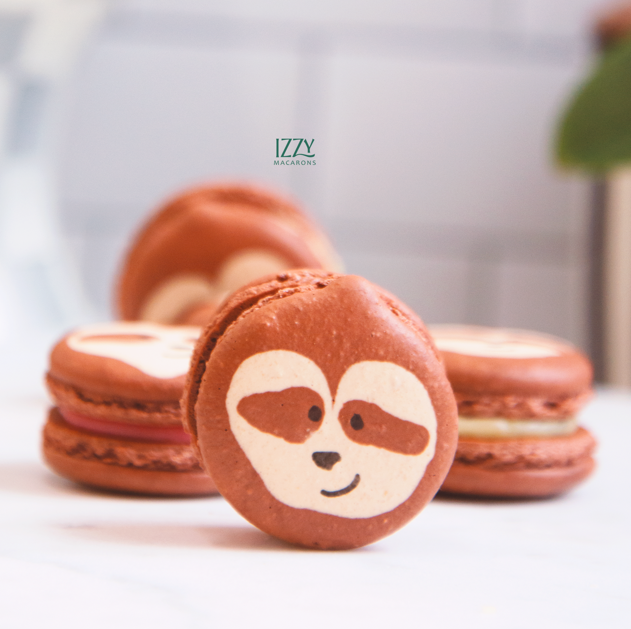 Sloth Macarons