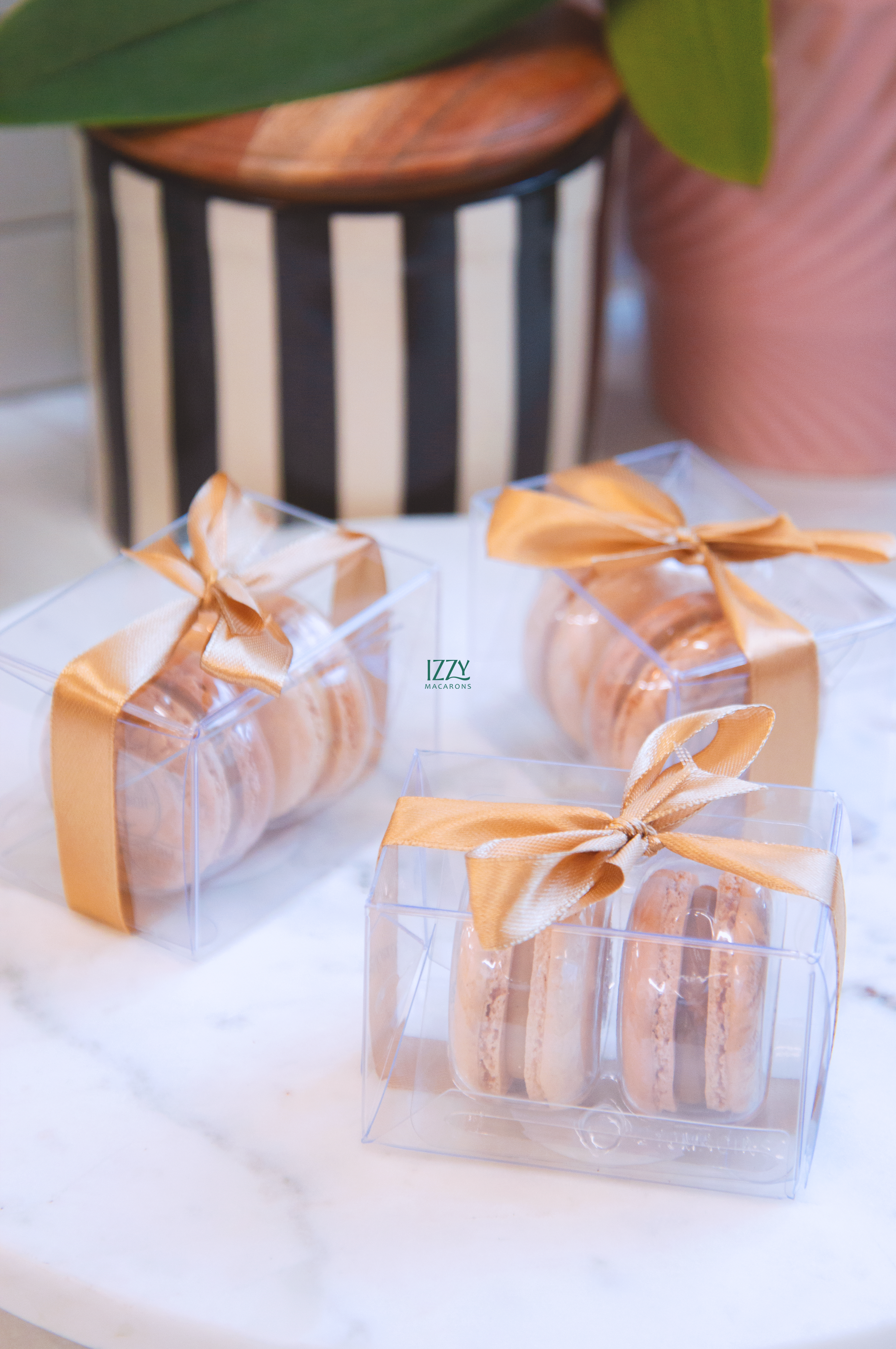 Customized Party Favor Macarons