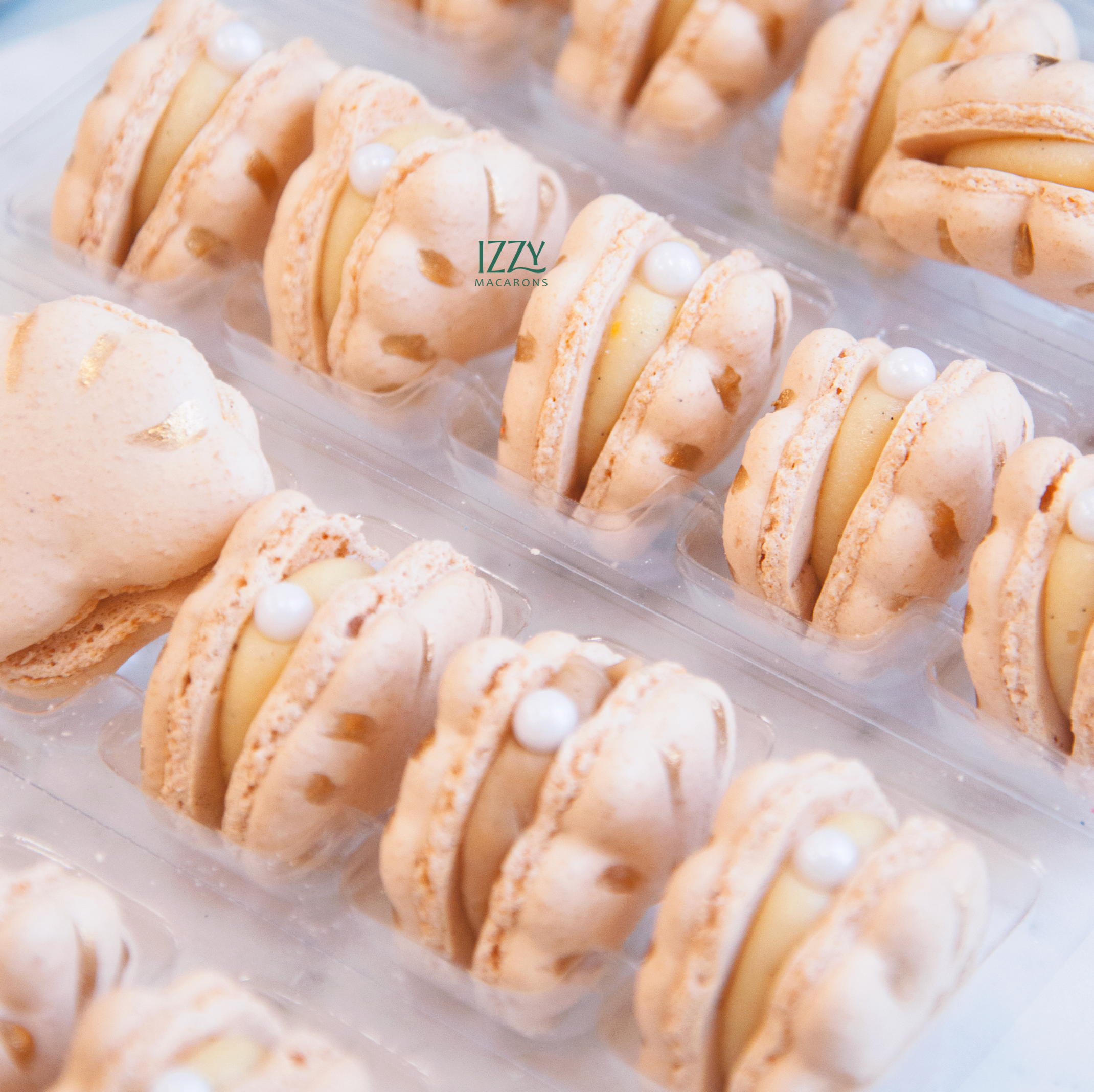 White Seashell Macarons