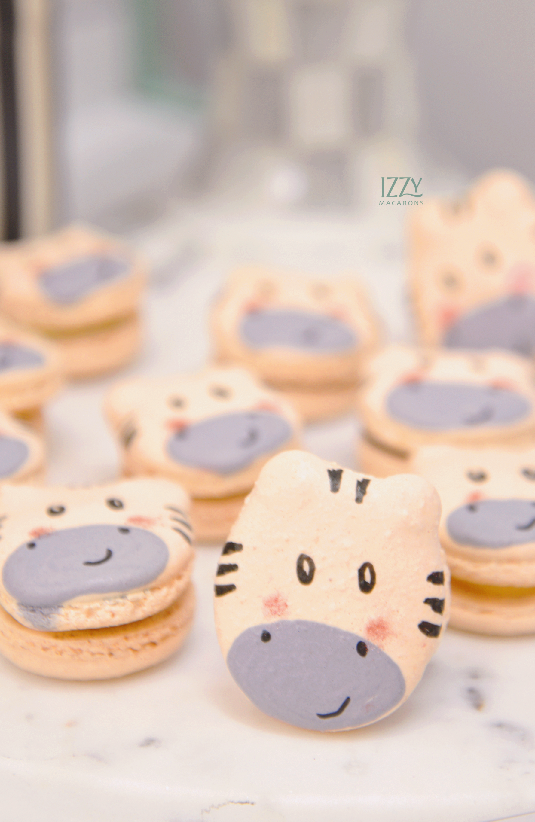 Zebra Shaped Macarons