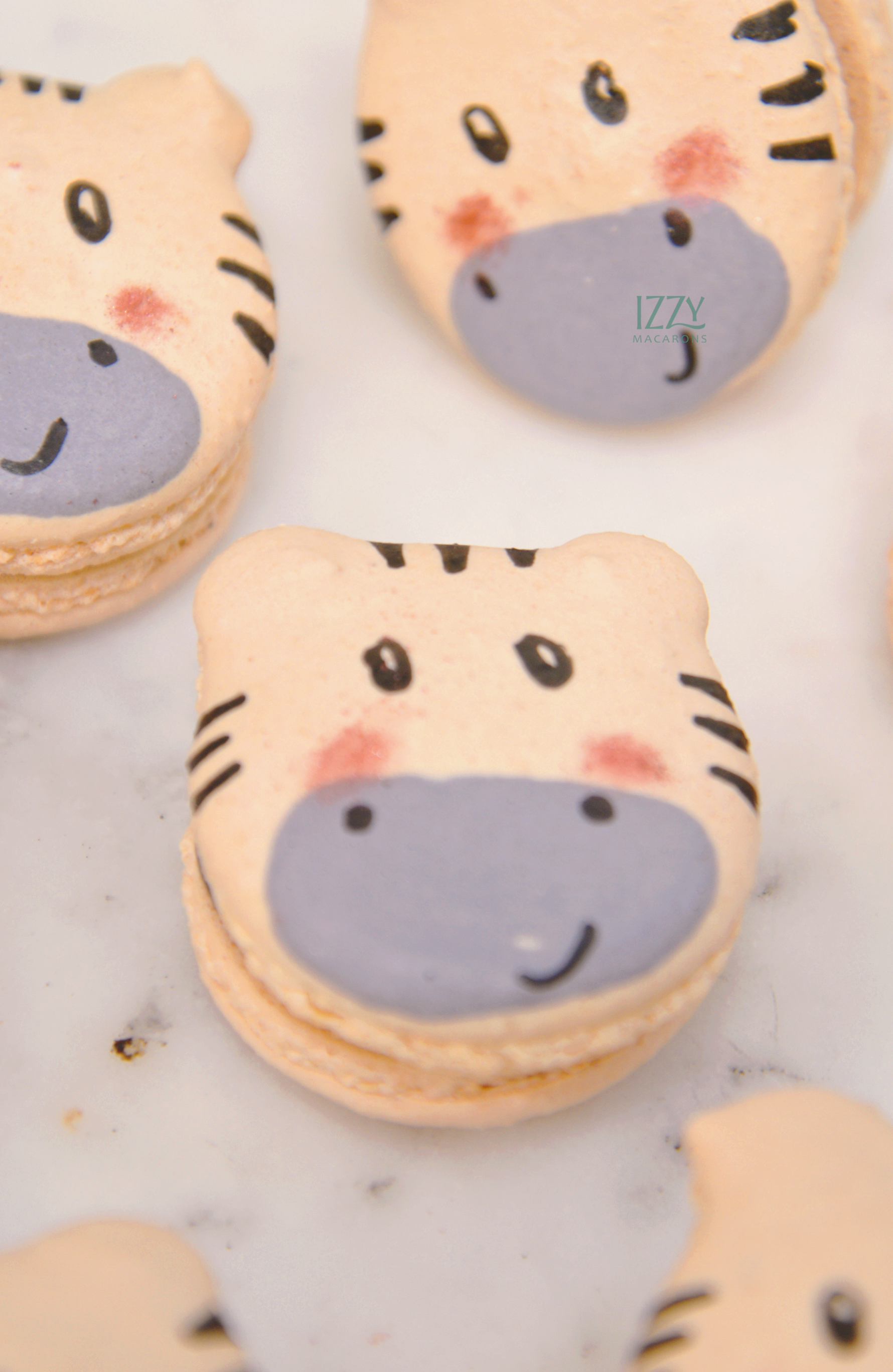 Zebra Shaped Macarons