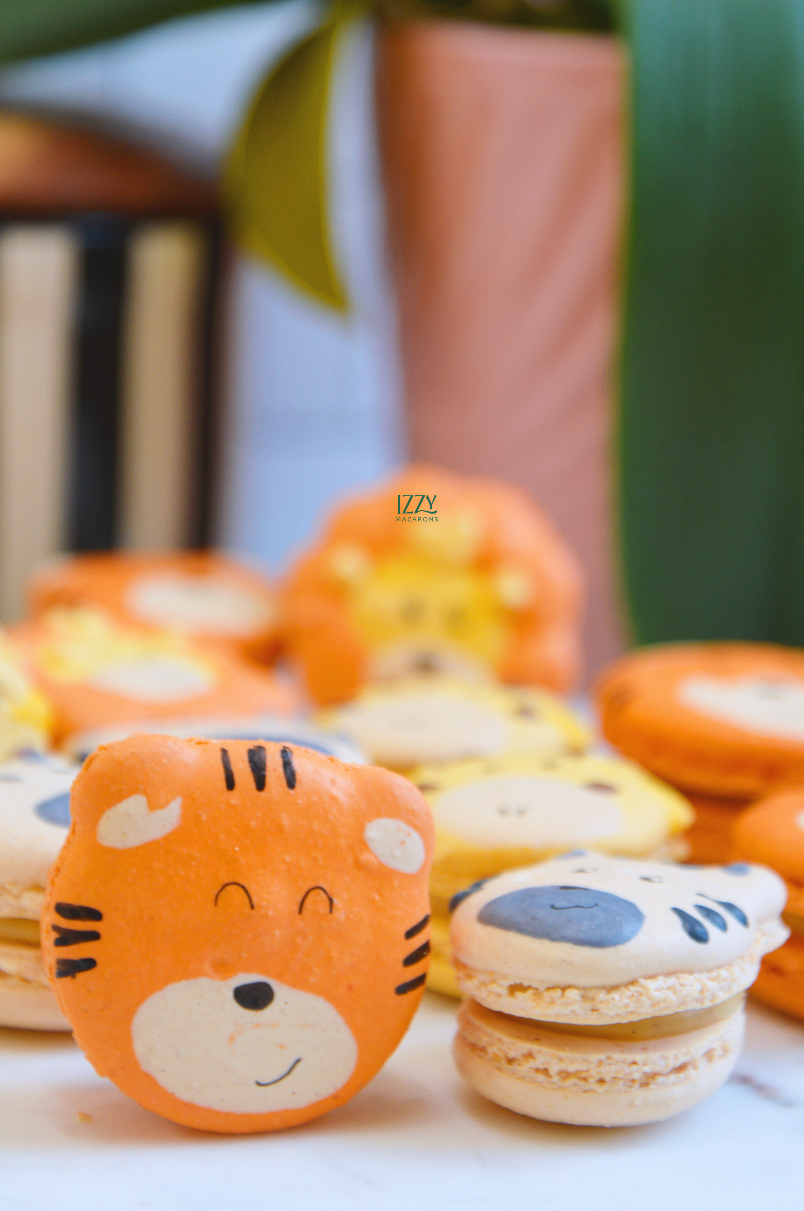 Zoo Animals Macarons