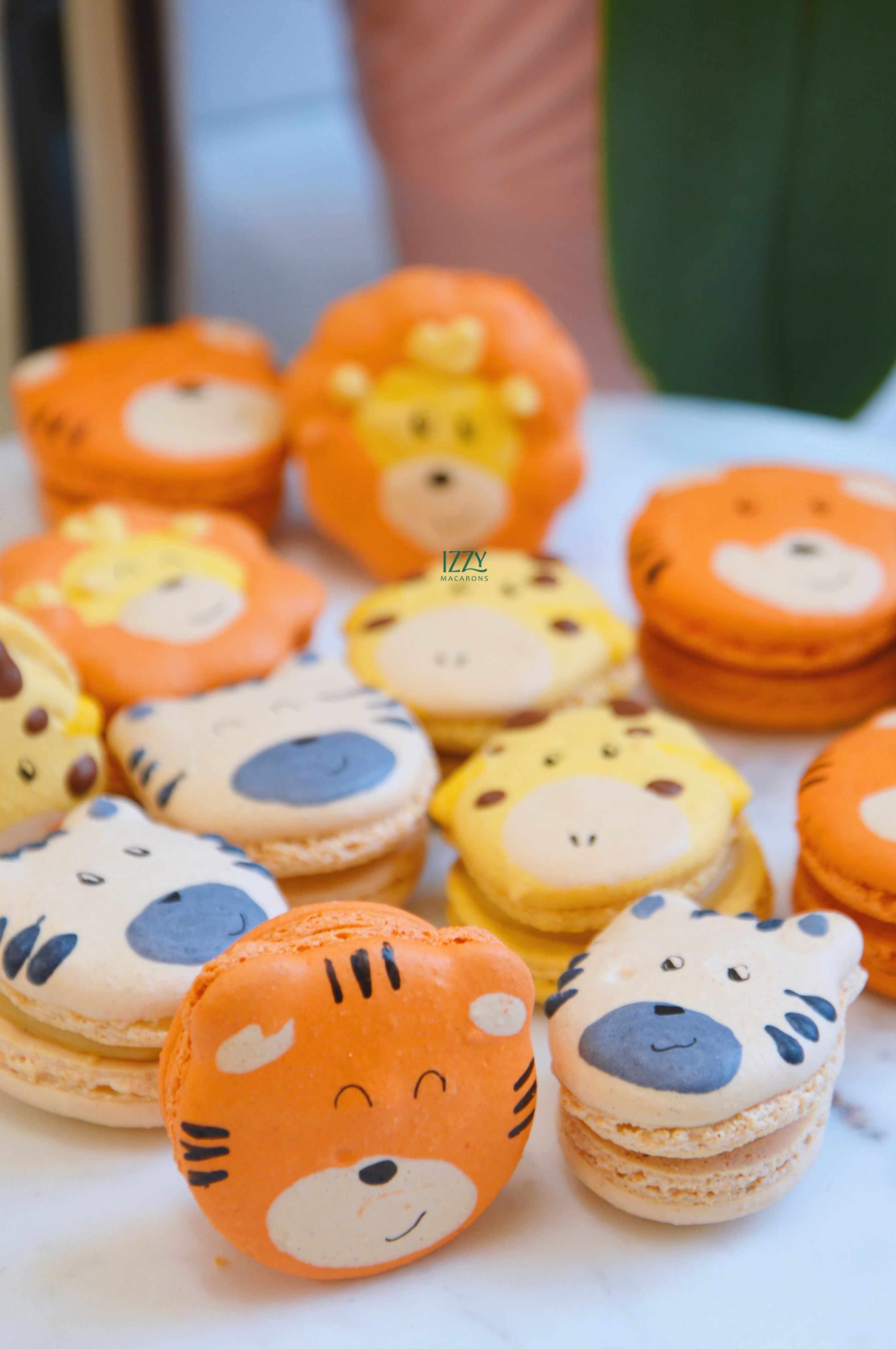 Zoo Animals Macarons