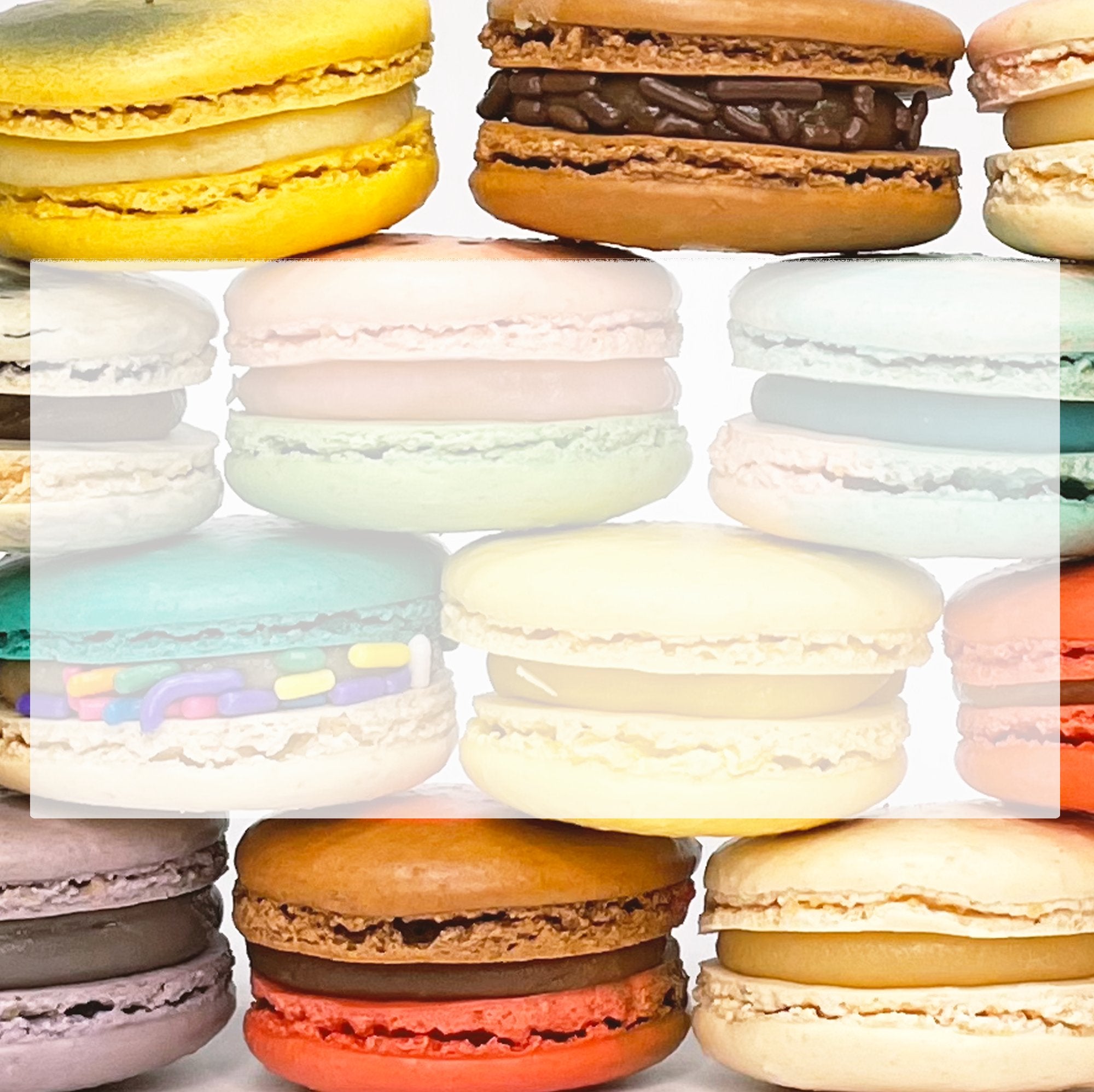 best seller macarons