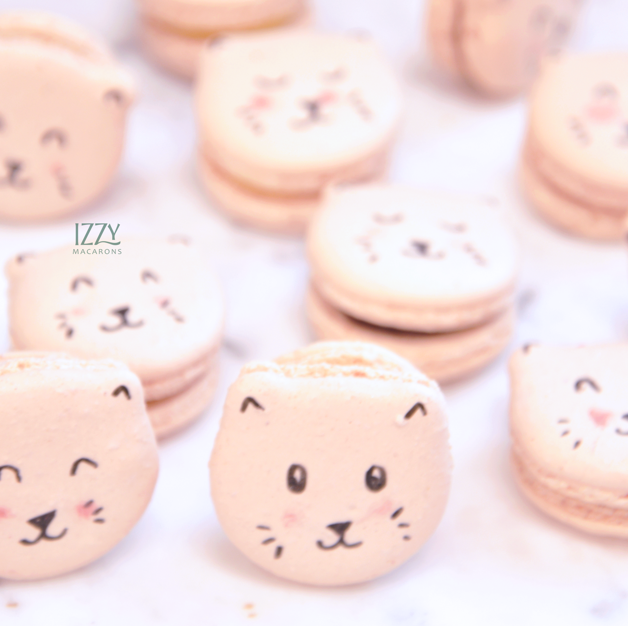 best seller macarons
