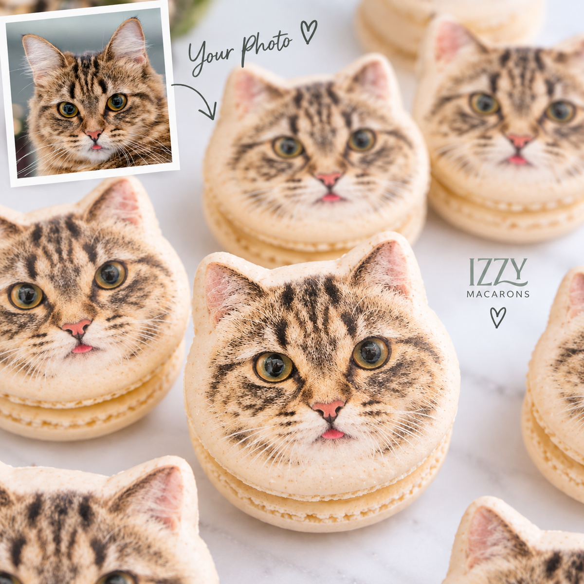 Cat/Dog/ Pet Picture Macarons