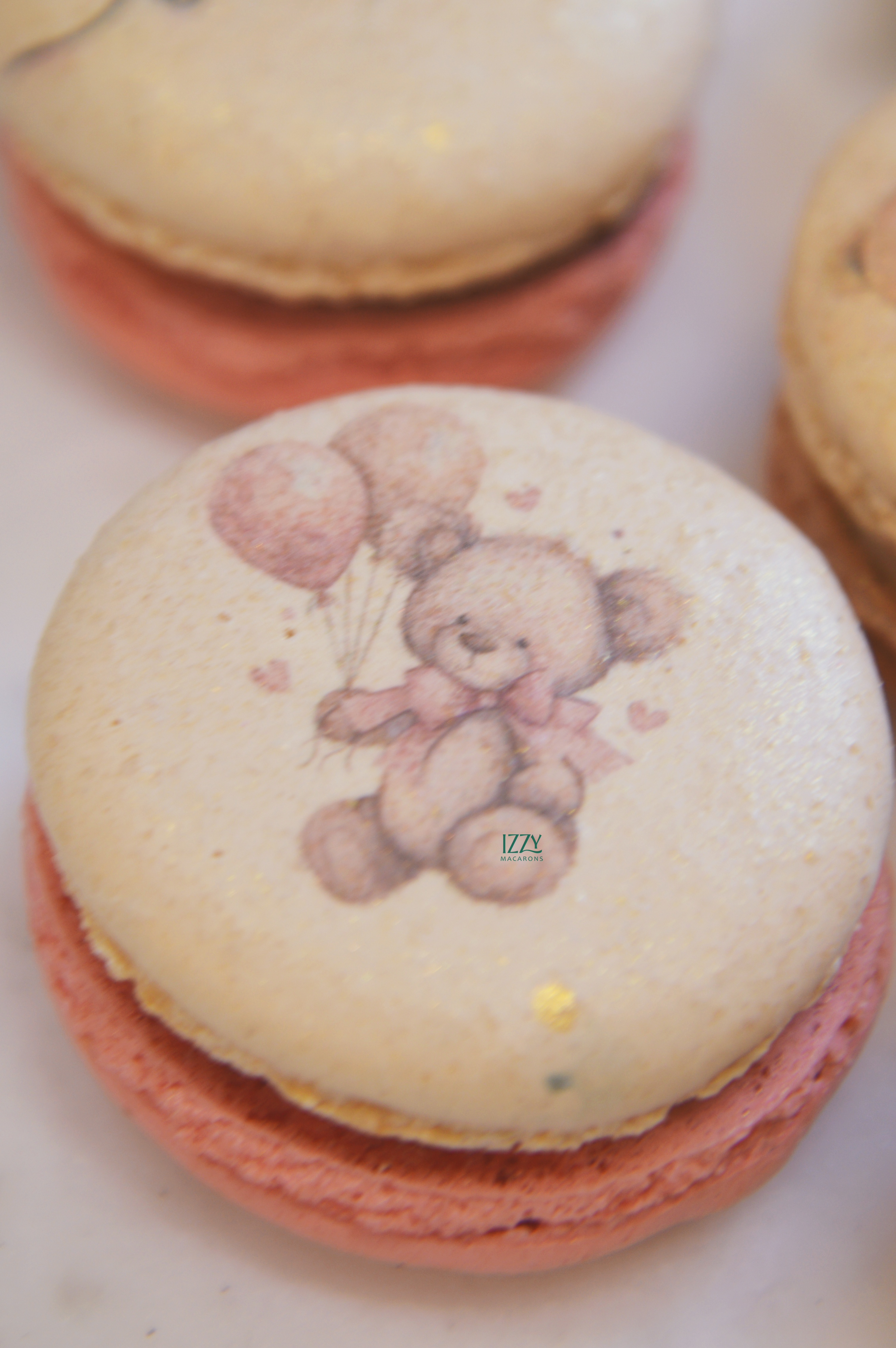 Bearly Wait themed Macarons